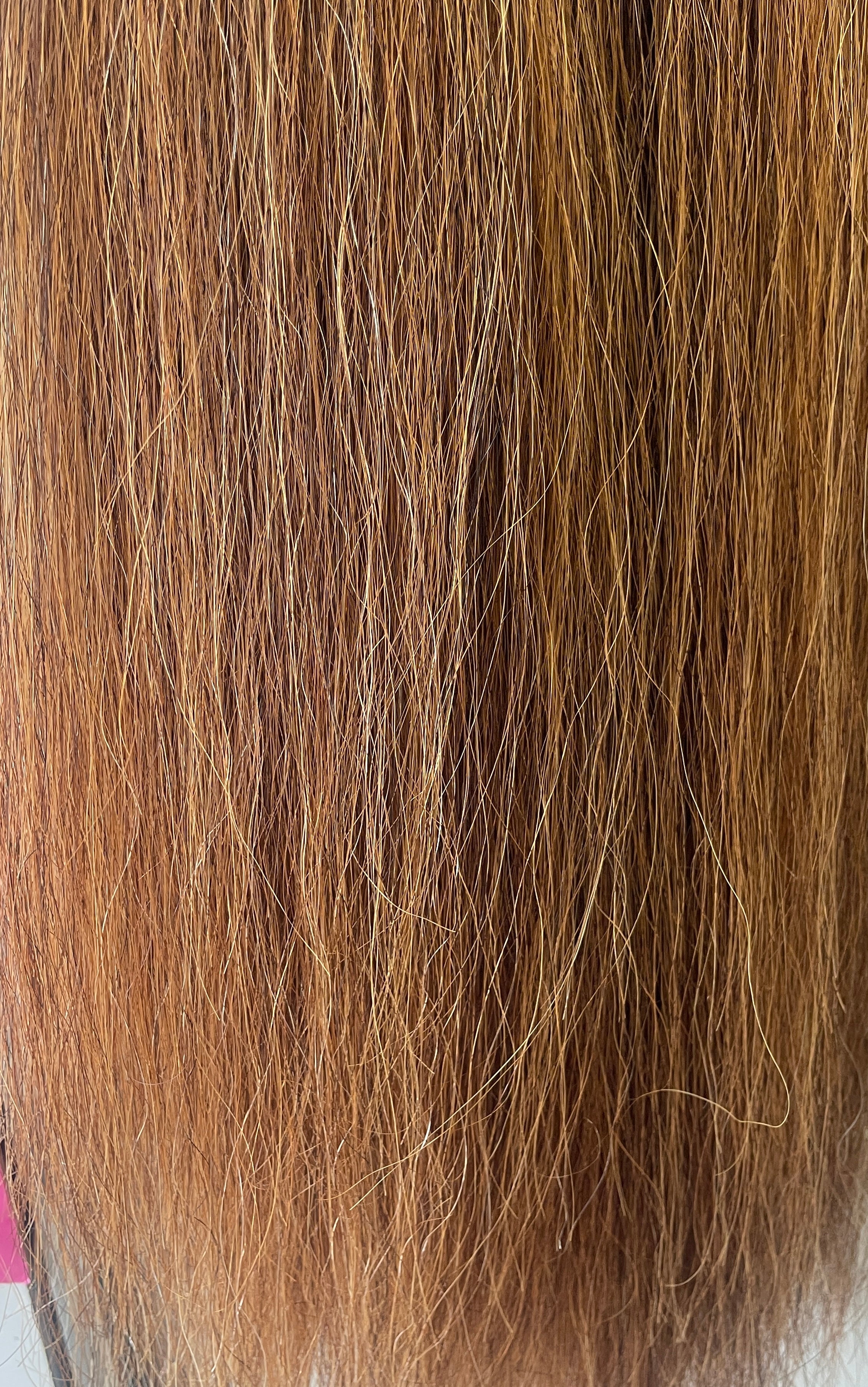Qhorse Chestnut mix blend Triple 770g 95 cm long natural end Double loop Top