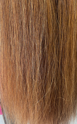 Qhorse Chestnut mix blend Triple 770g 95 cm long natural end Double loop Top