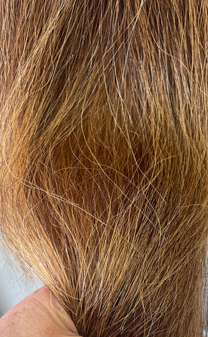 Qhorse Chestnut mix blend Triple 770g 95 cm long natural end Double loop Top