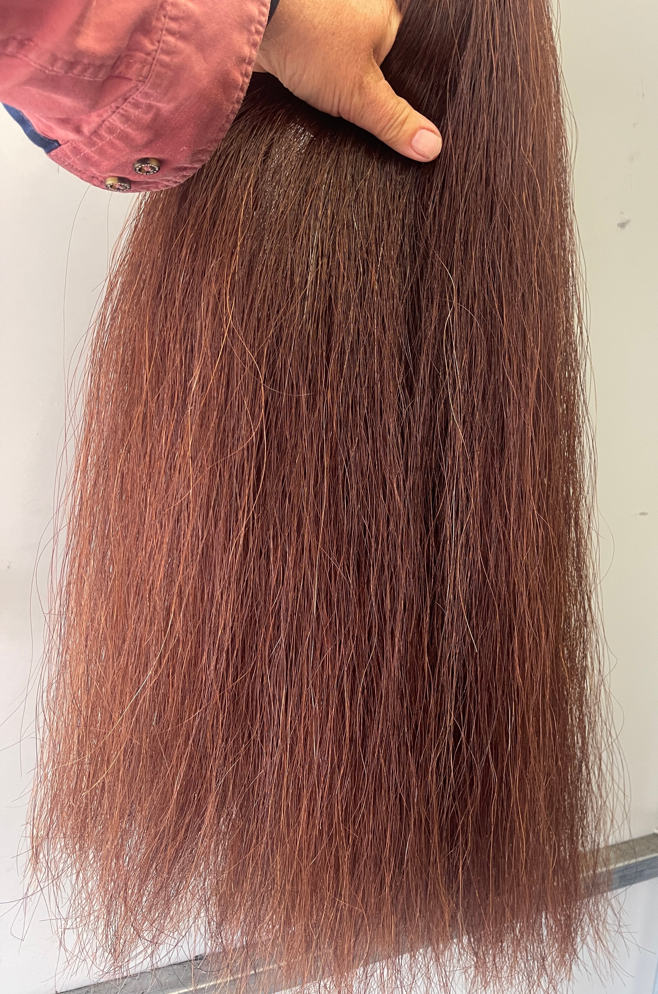 Red Chestnut Stockhorse length 86 cm cut end Double thickness