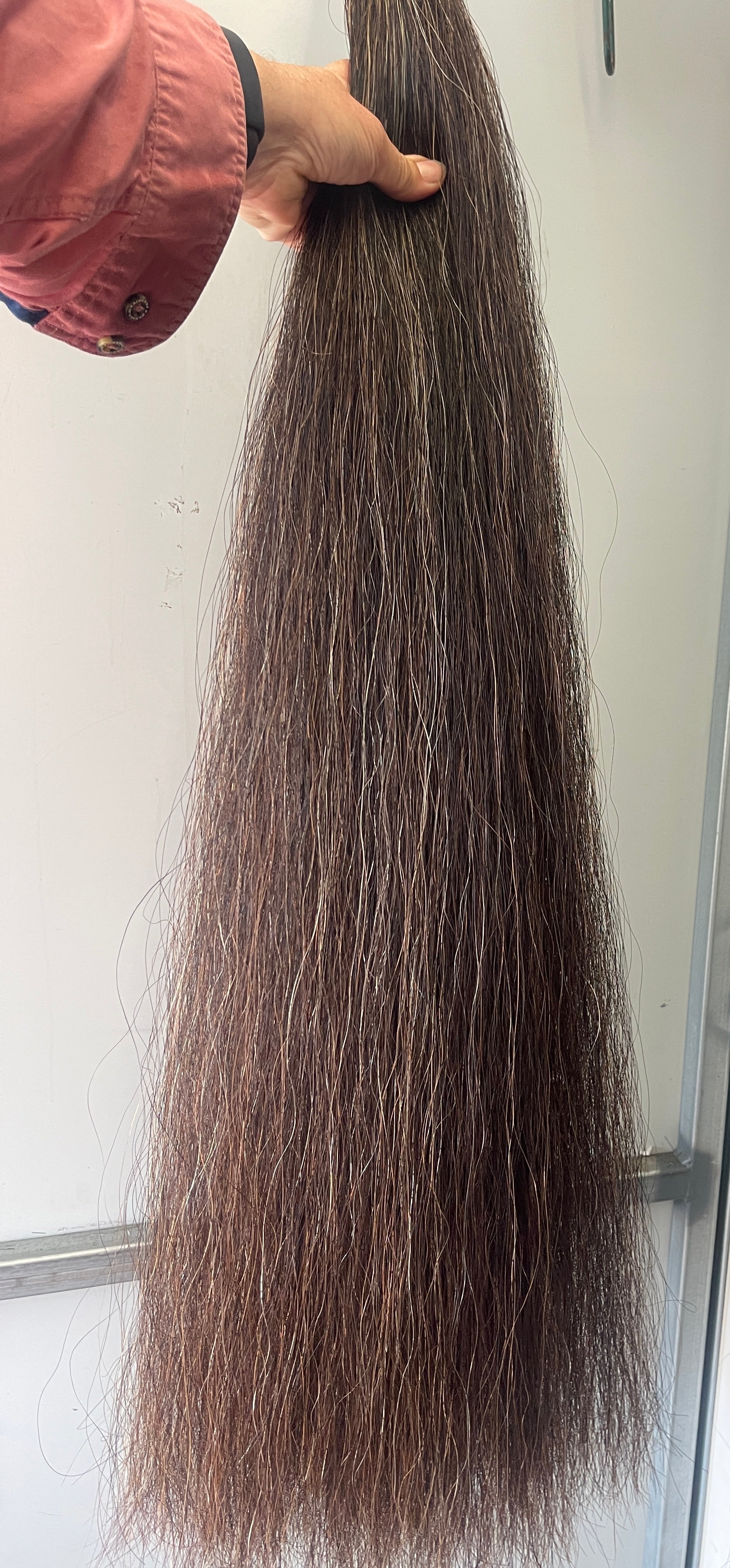 Qhorse length Darker chestnut mix blend 100 cm cut end Double thickness
