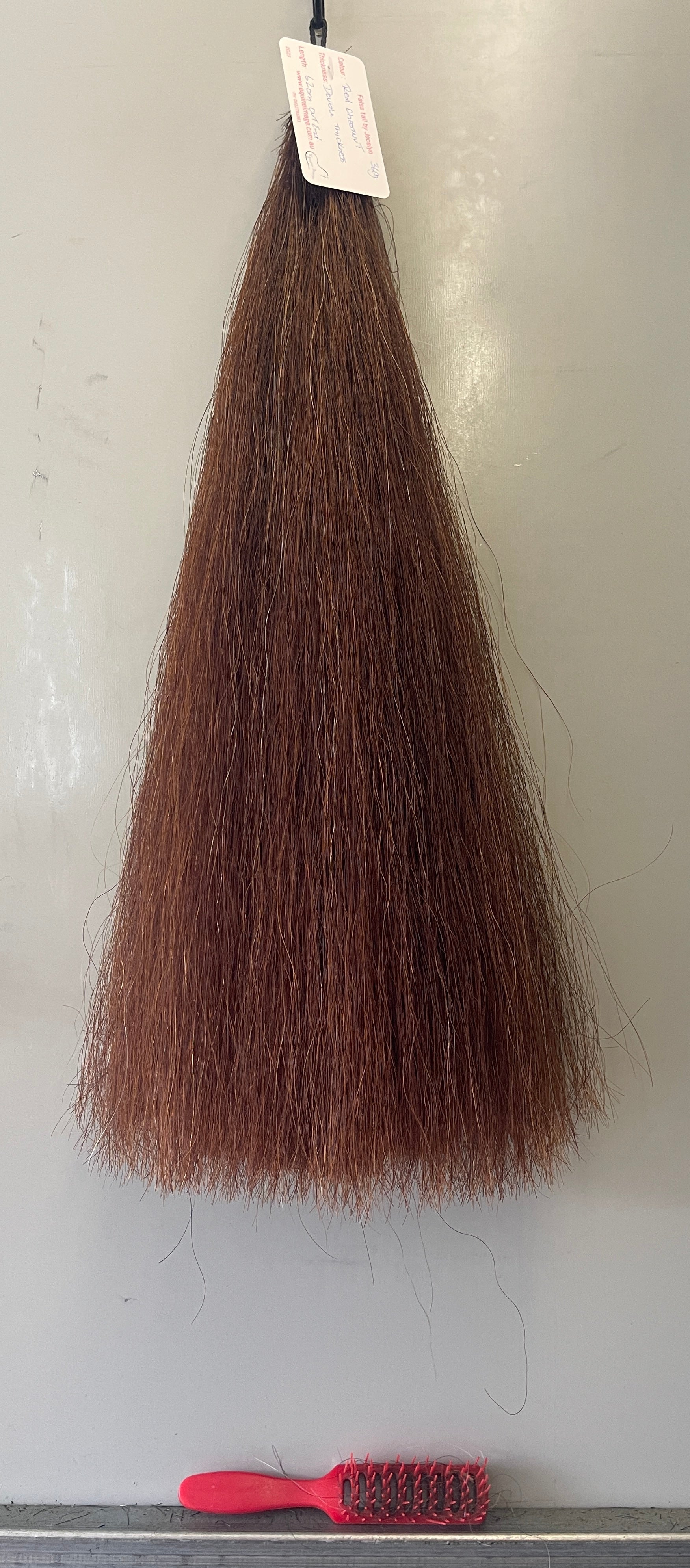 Red chestnut Double thickness 62 cm cut end