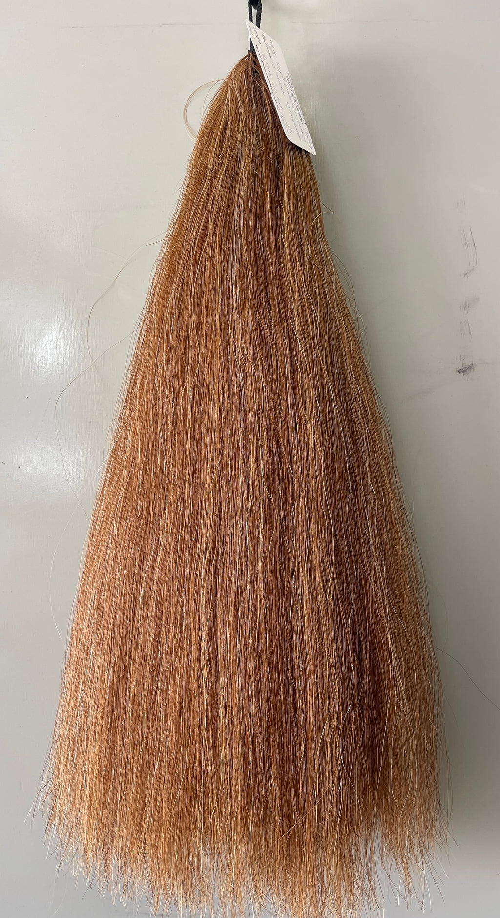 Weighted light chestnut flaxen Double thickness 61 cm cut end Final weight 630g