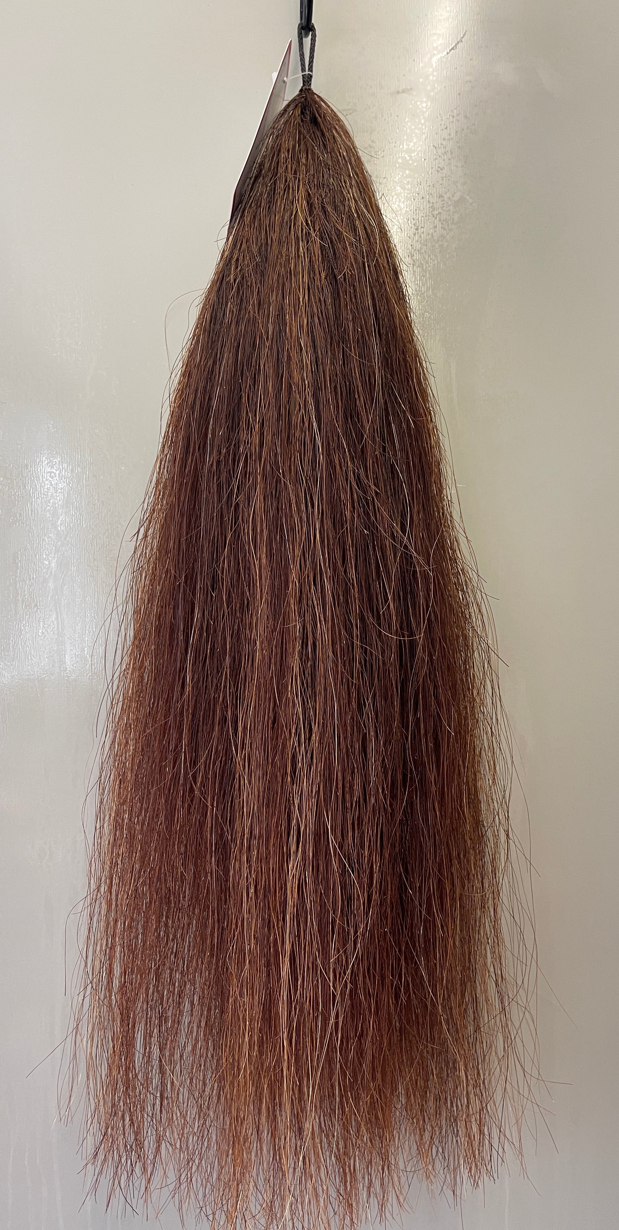 Chestnut Blend 58cm natural end Full plus ( 1.1/4times )