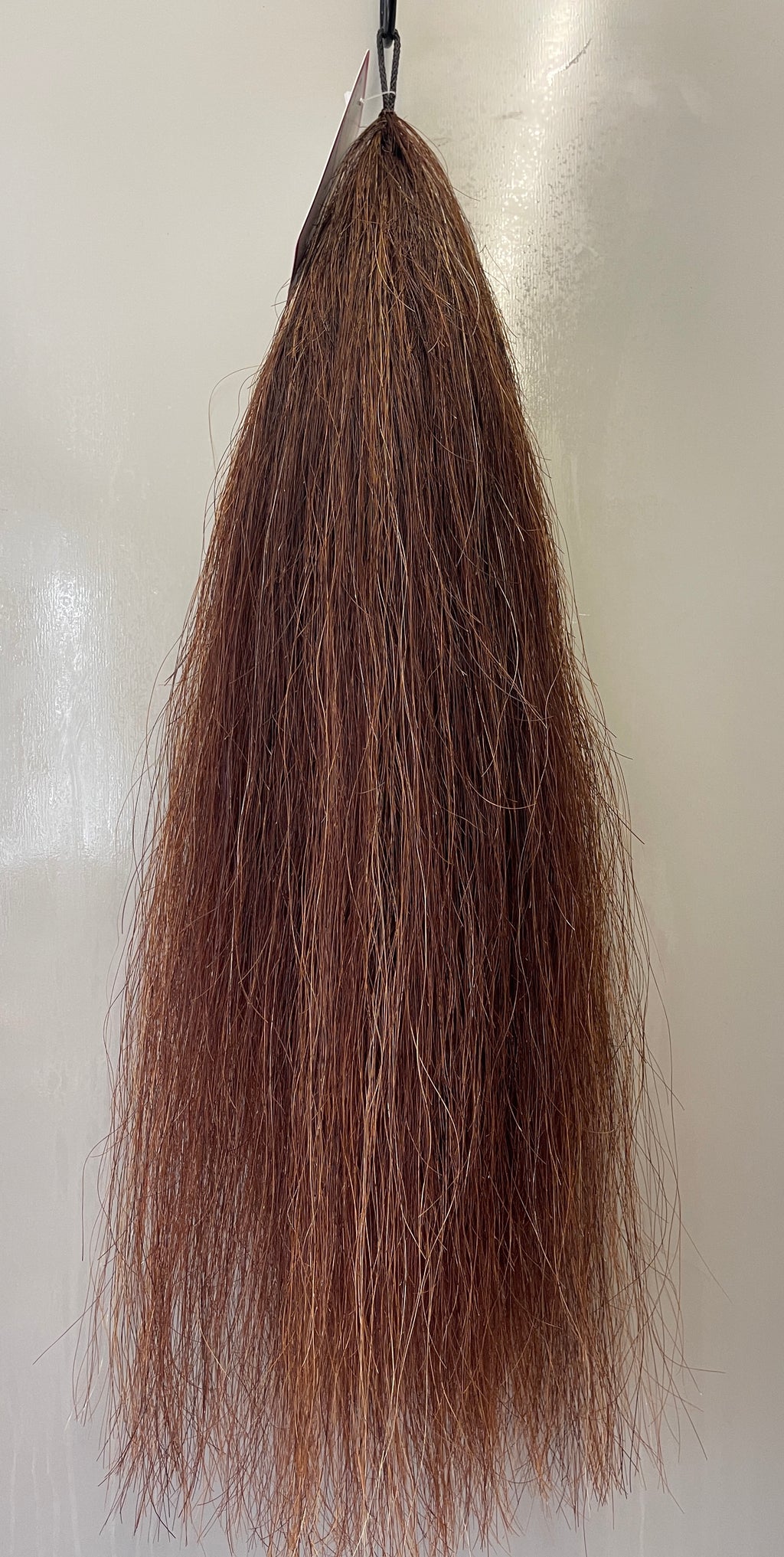 Chestnut Blend 58cm natural end Full plus ( 1.1/4times )