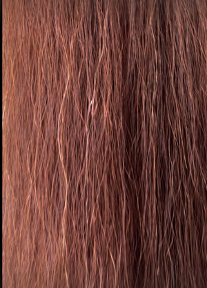 Qhorse length 100 cm cut end Double thickness Red Chestnut.