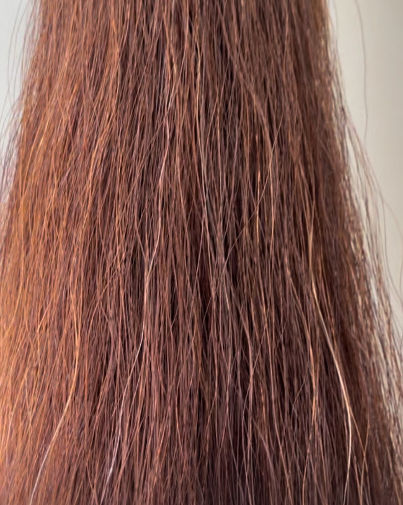 Qhorse length 100 cm cut end Double thickness Red Chestnut.