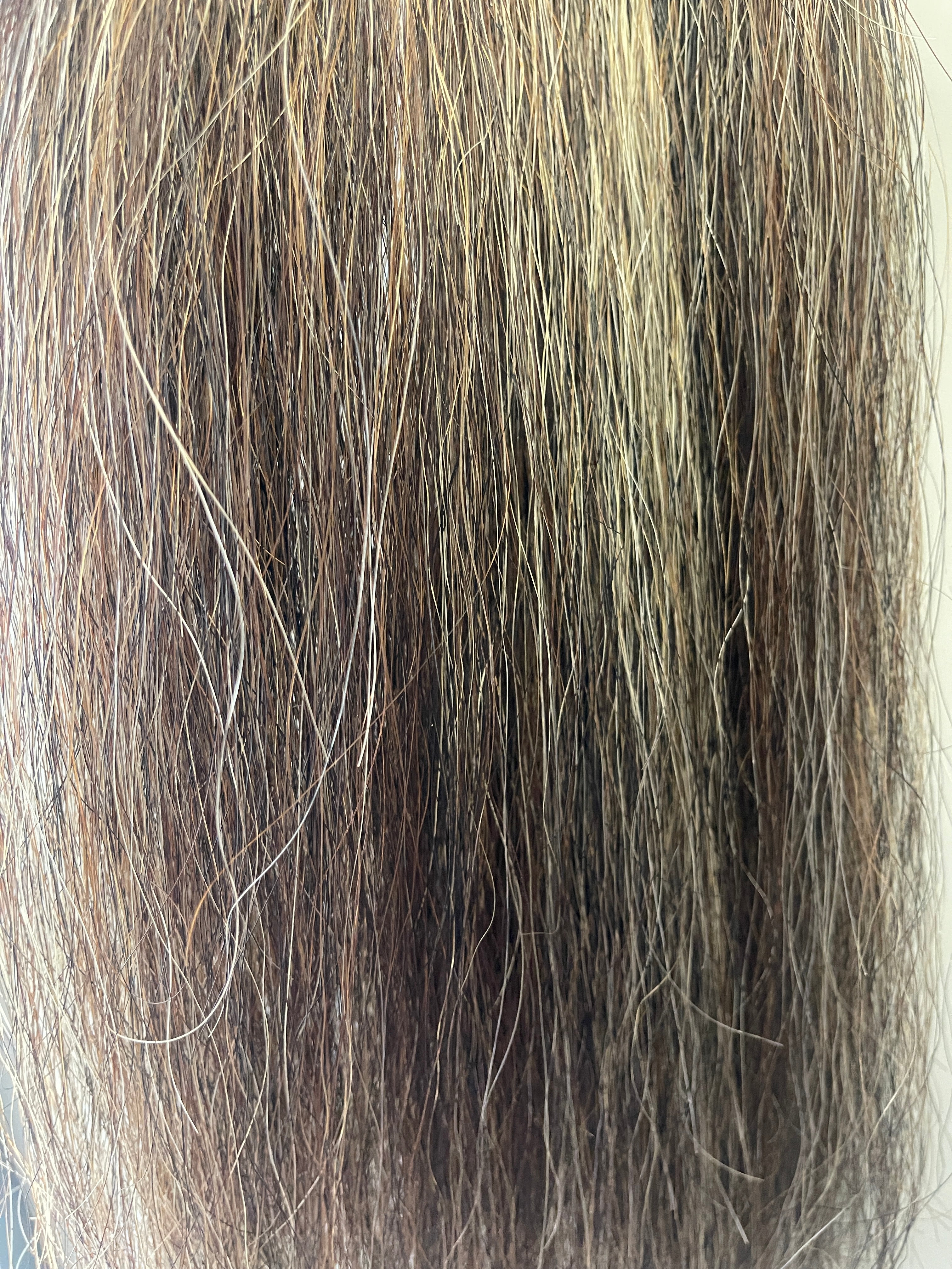 Brown chestnut mix Blend single/ full thickness 64 cm natural end