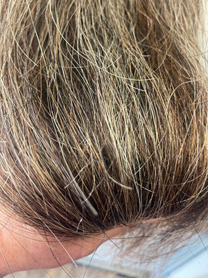 Brown chestnut mix Blend single/ full thickness 64 cm natural end