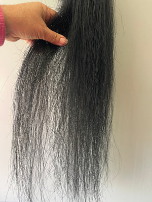 Black - Shetland / mini - yearling small single / filler 70-72 cm natural end