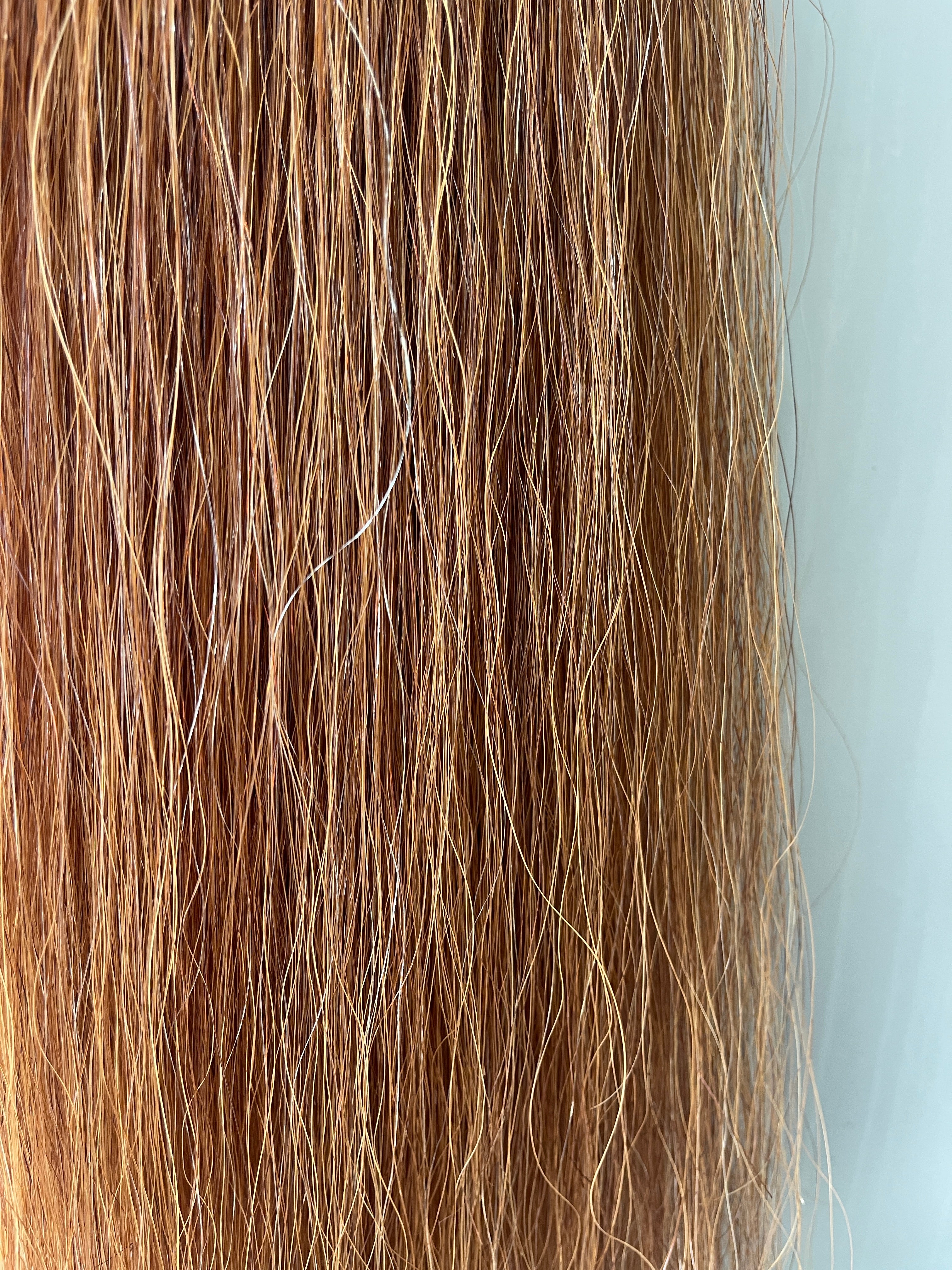 Light Chestnut Flaxen blend Stockhorse / Dressage length 86 cm cut end Full plus (1.5 times )