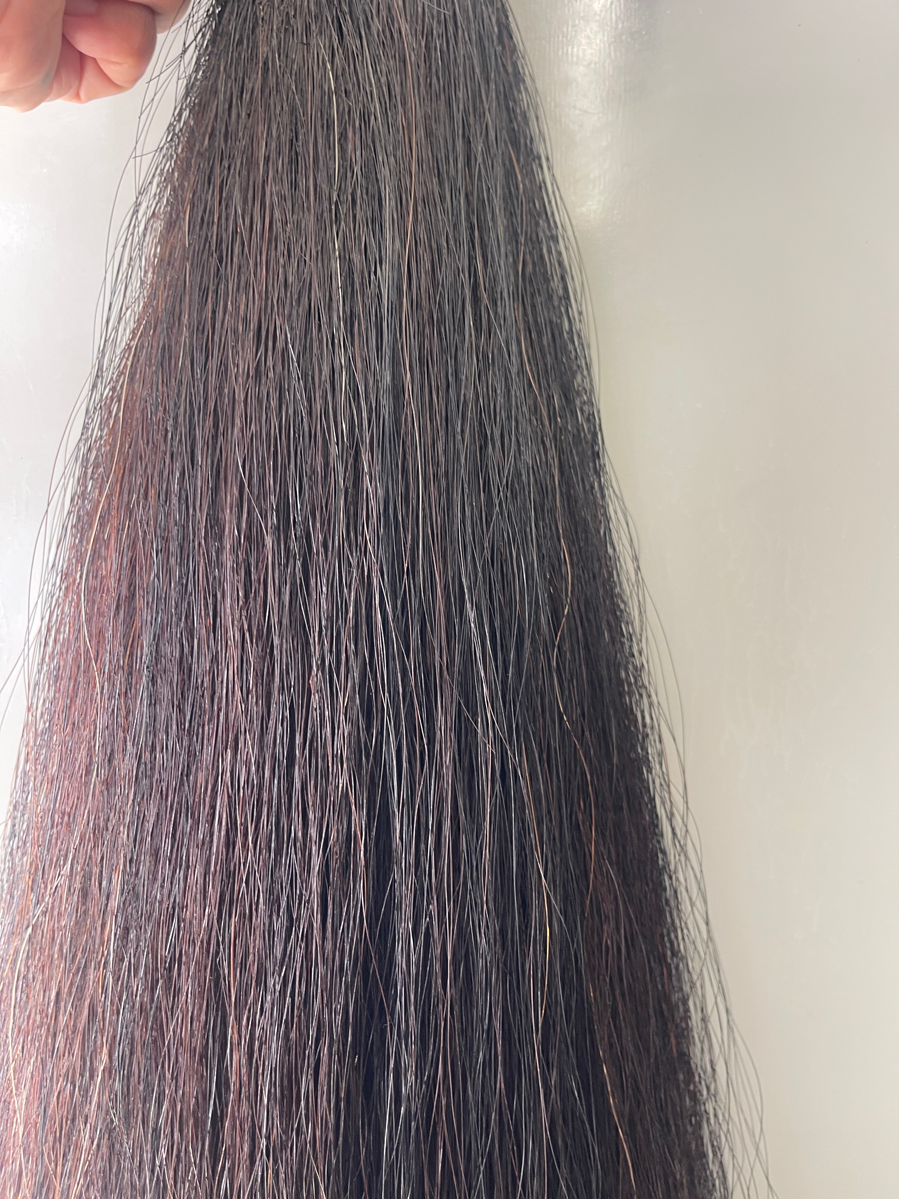 Liver very Dark chestnut 66 cm cut end Double plus