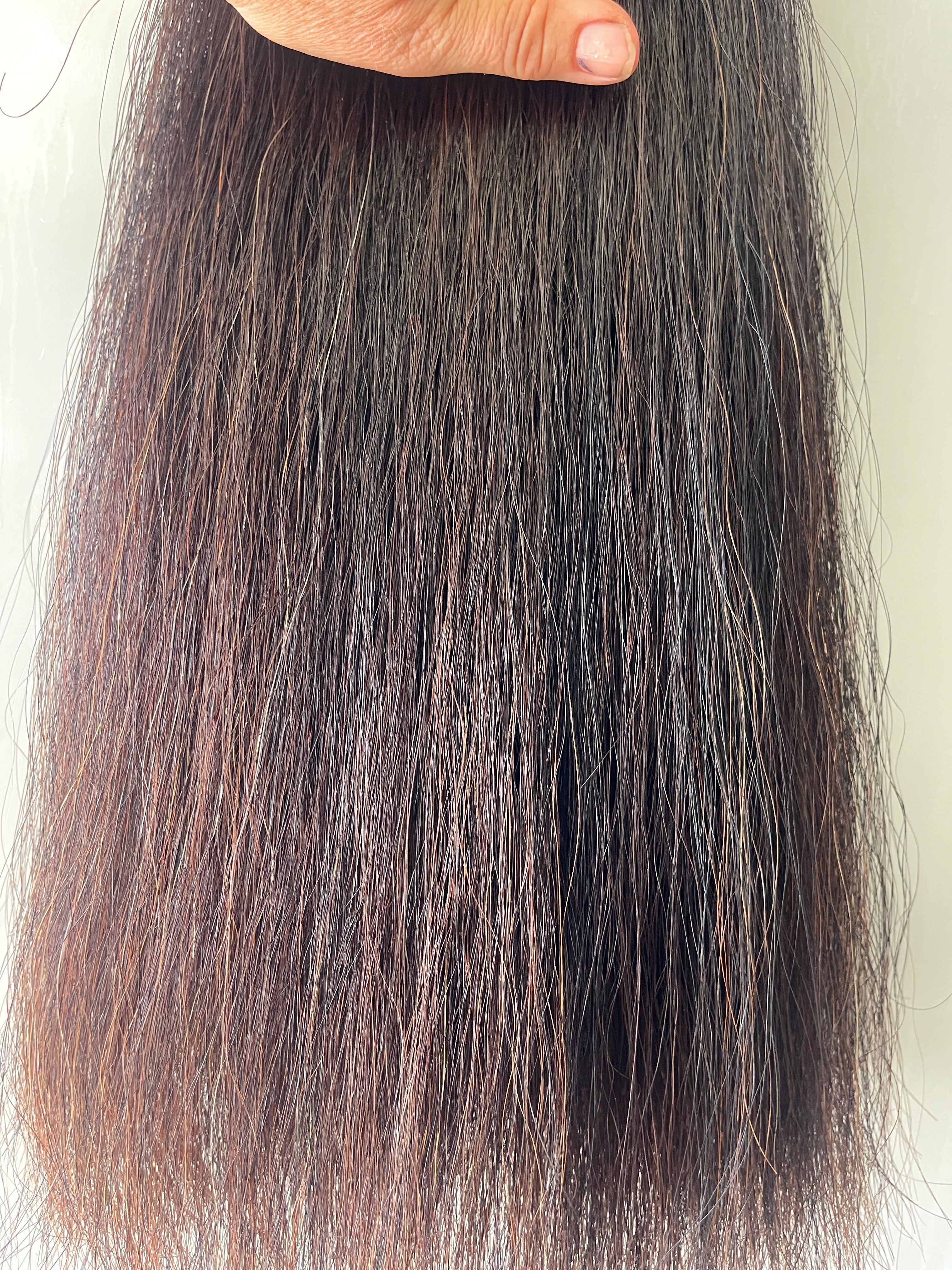 Liver very Dark chestnut 66 cm cut end Double plus