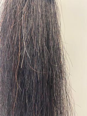 Dark chestnut foal wisp tail 60g