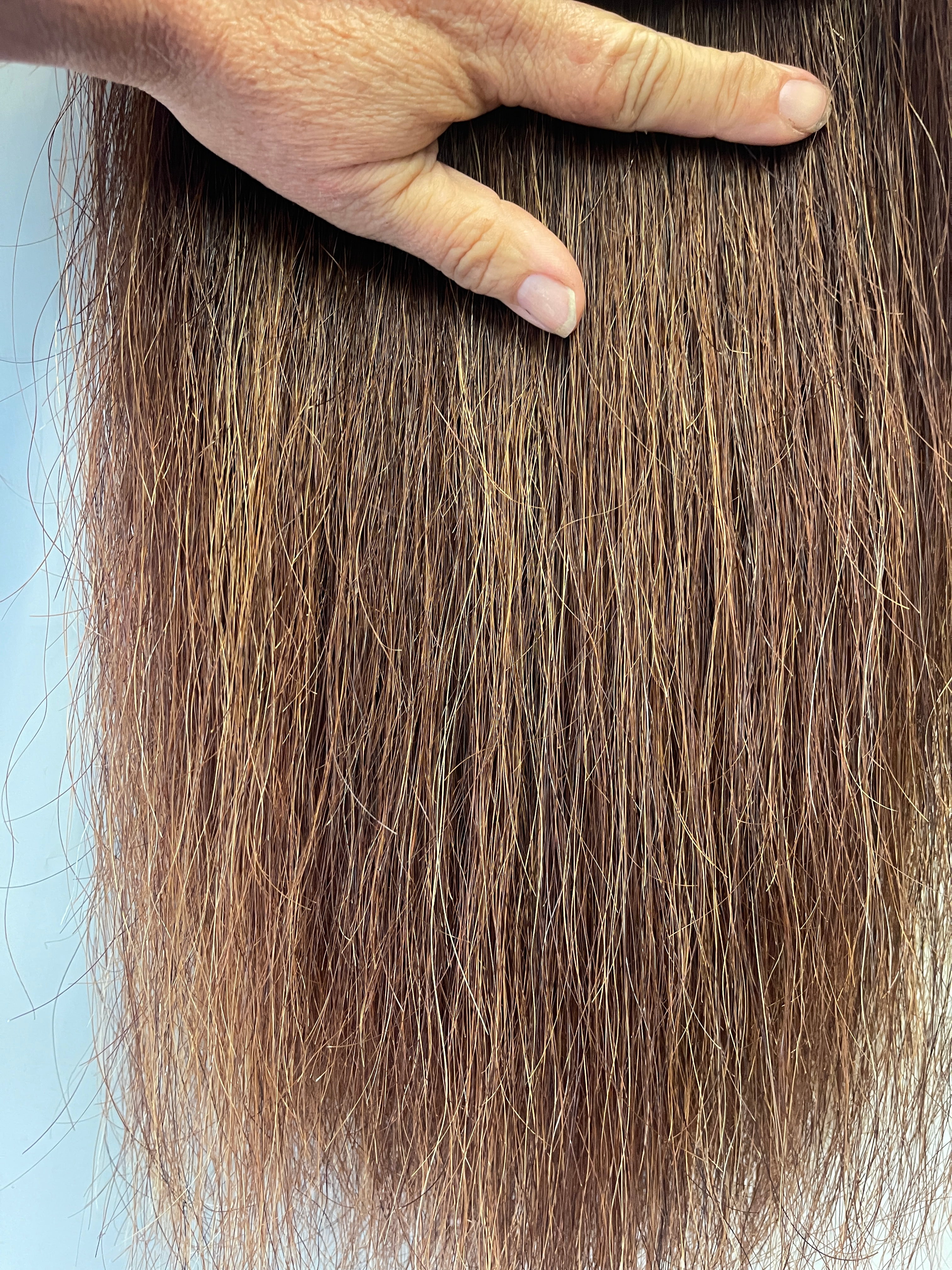 Chestnut mix blend 70 cm natural end Full thickness ( just over single thick)