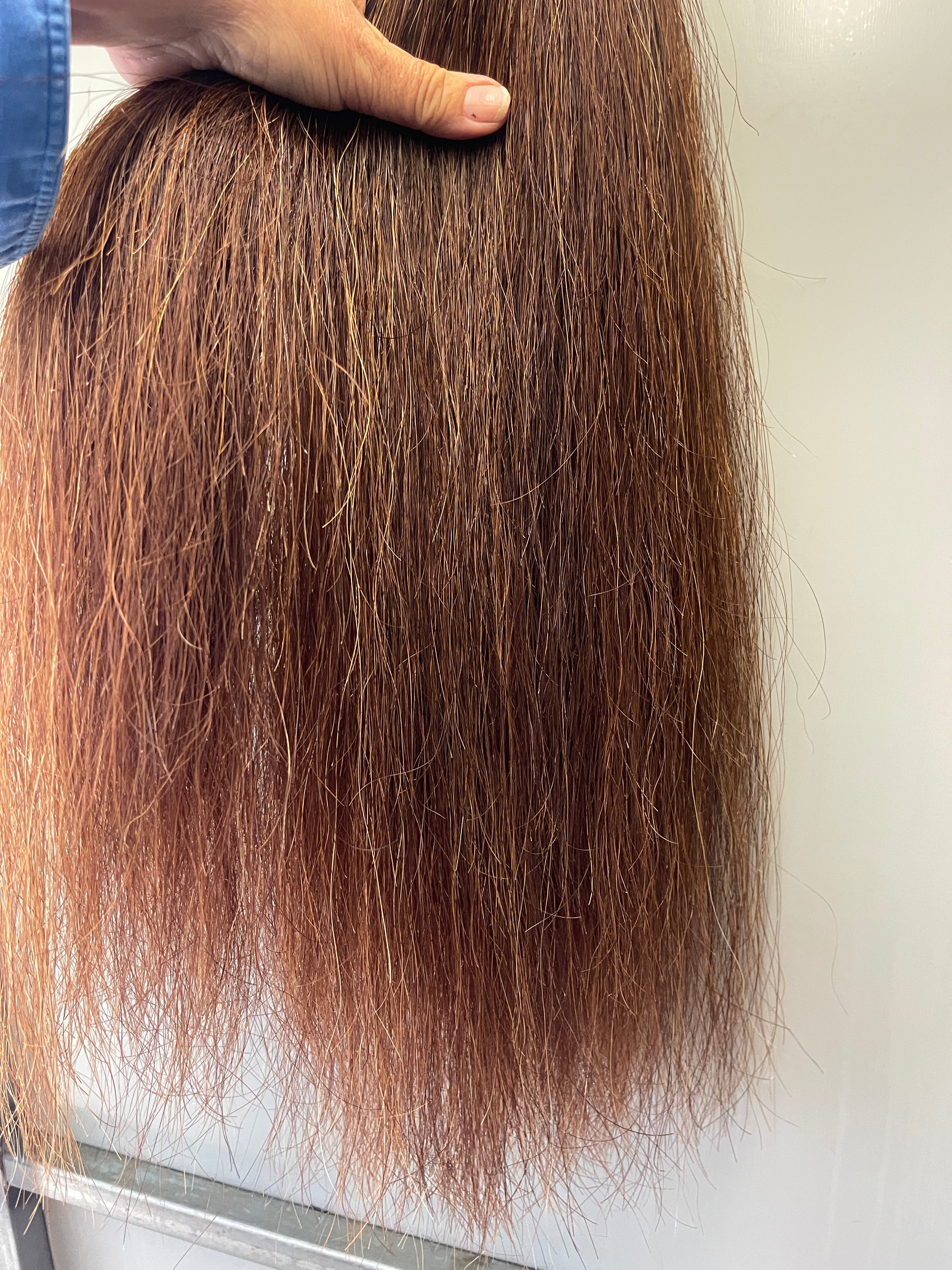 Chestnut mix blend 70 cm natural end Full thickness ( just over single thick)
