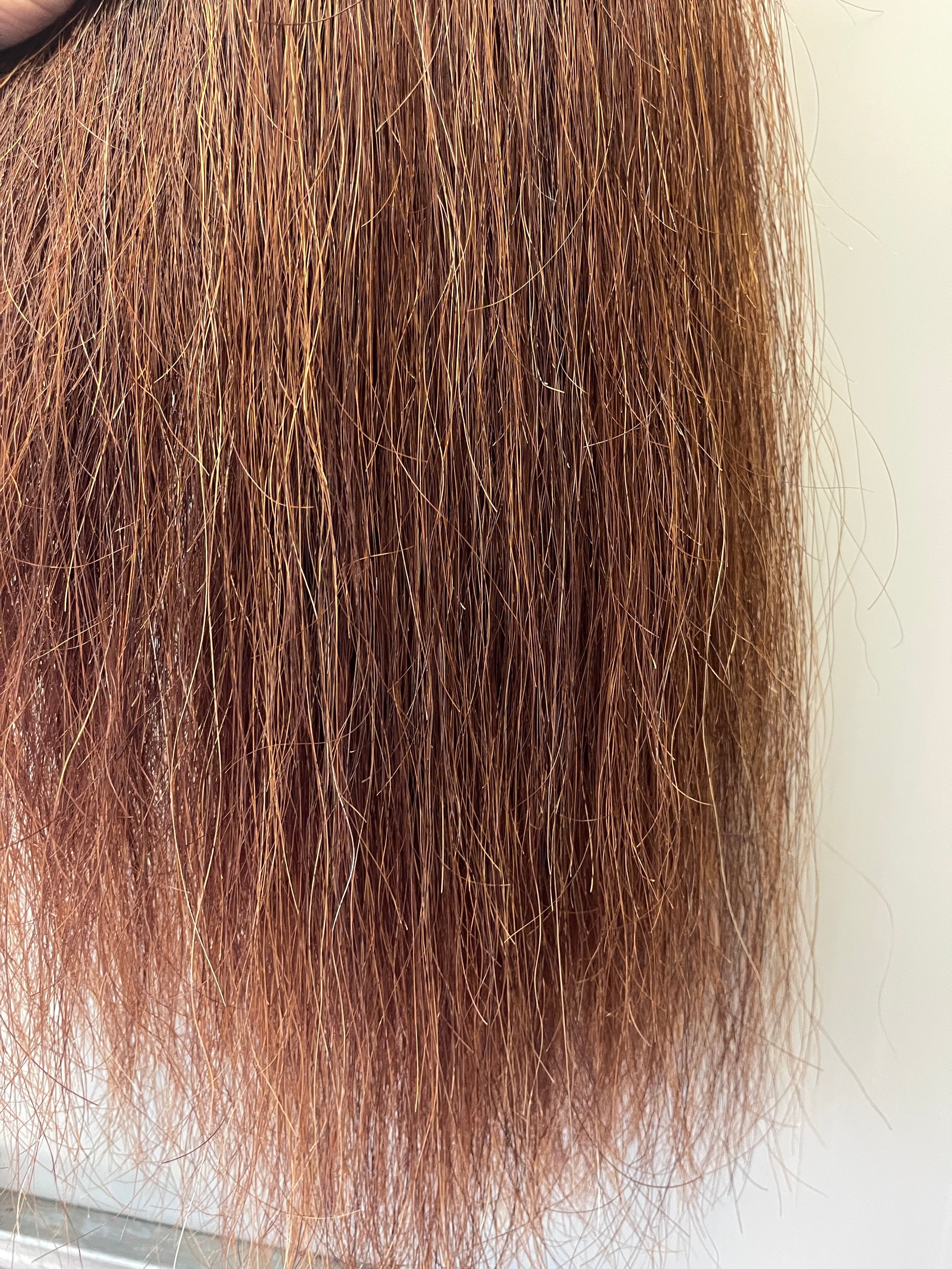 Chestnut mix blend 70 cm natural end Full thickness ( just over single thick)