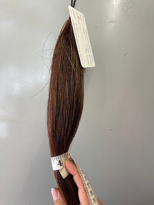 Chestnut- liver Blend Full plus plus 1 3/4 times 62 cm cut end