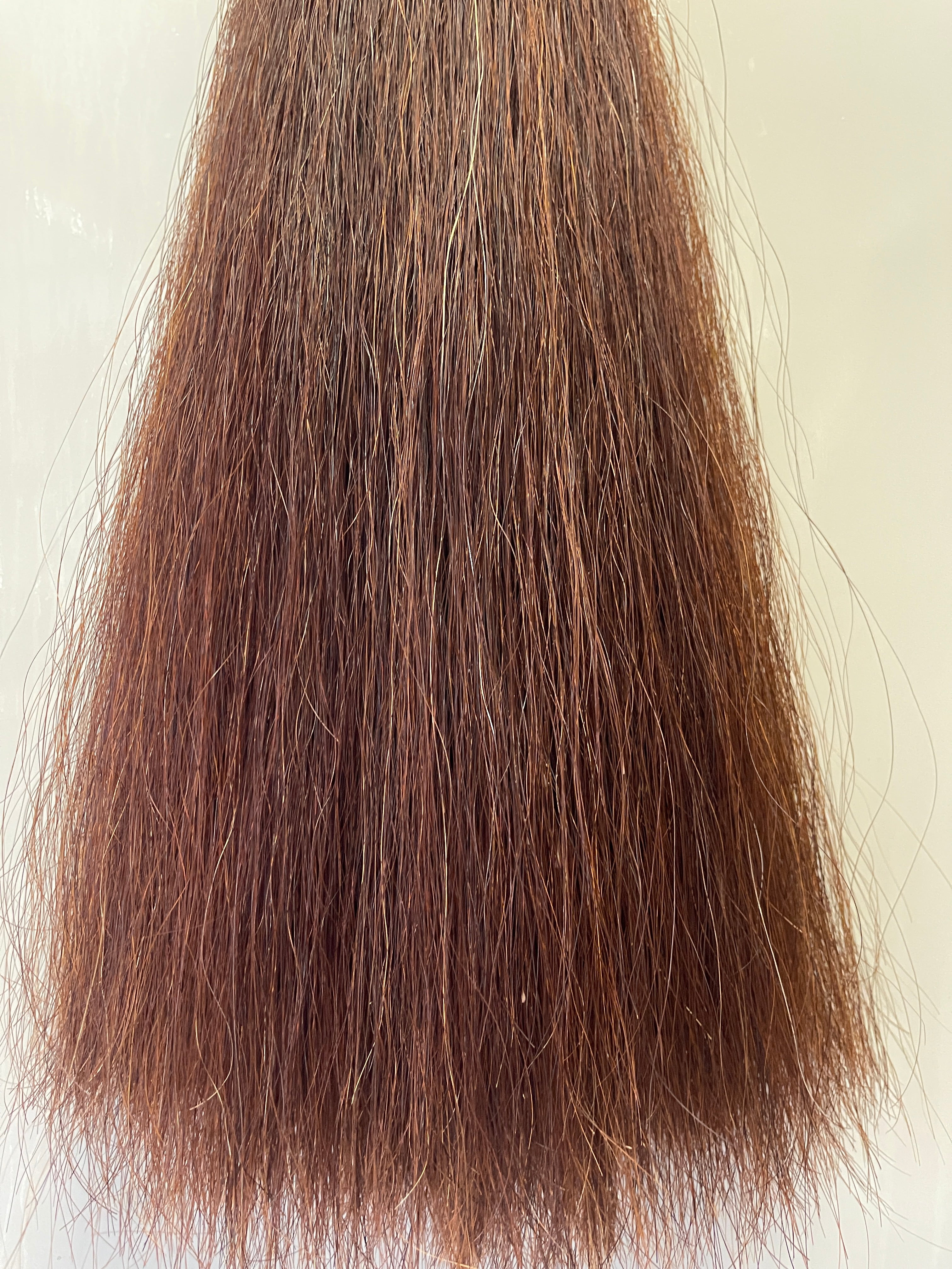Darker red chestnut Double Thickness 62 cm cut end