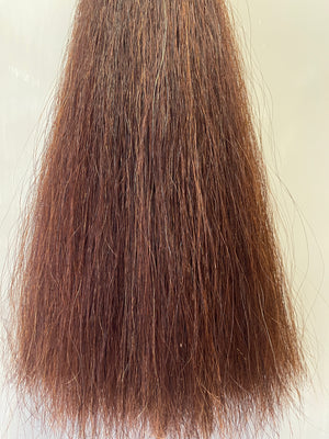 Darker red chestnut Double Thickness 62 cm cut end