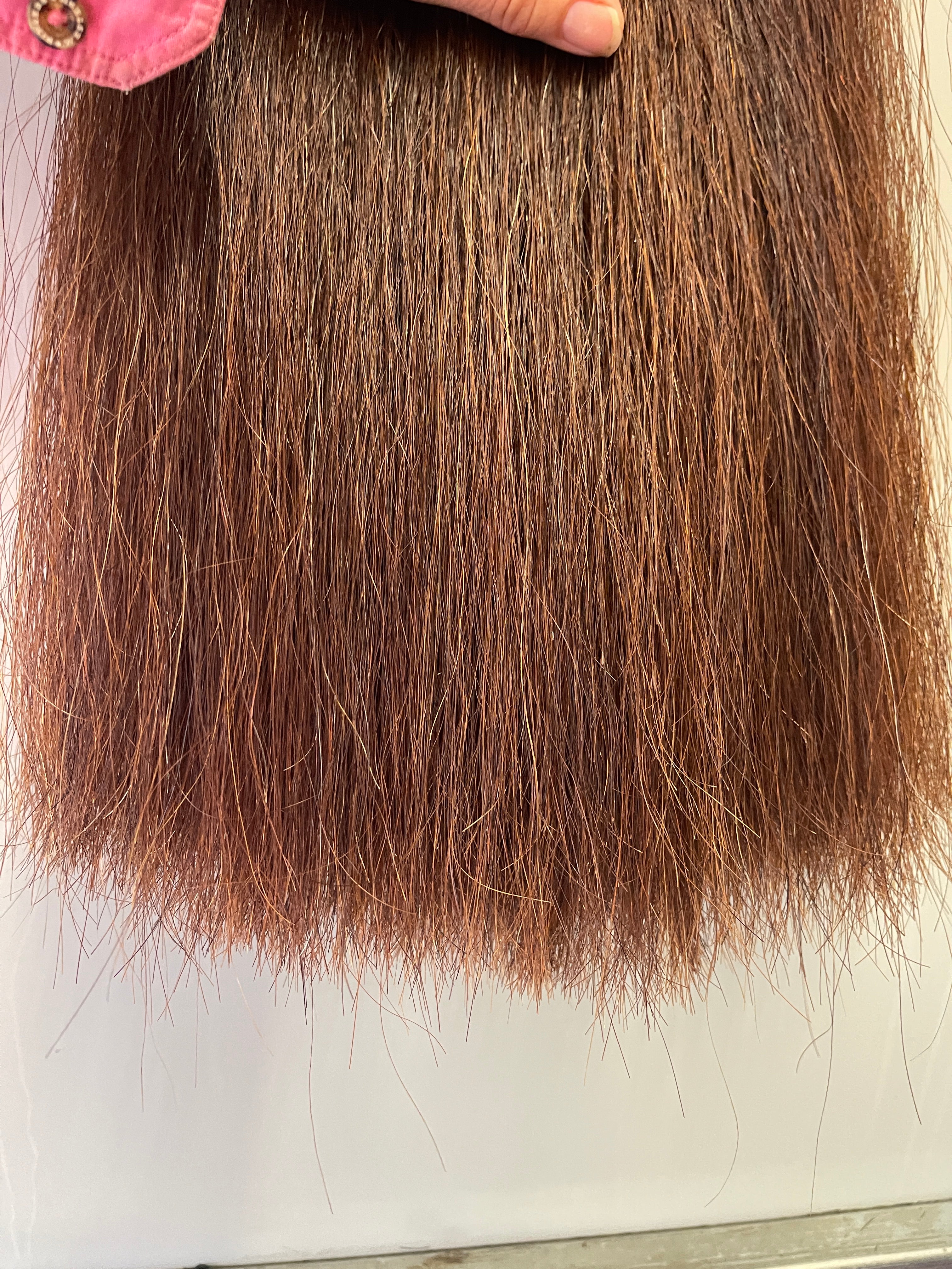 Darker red chestnut Double Thickness 62 cm cut end