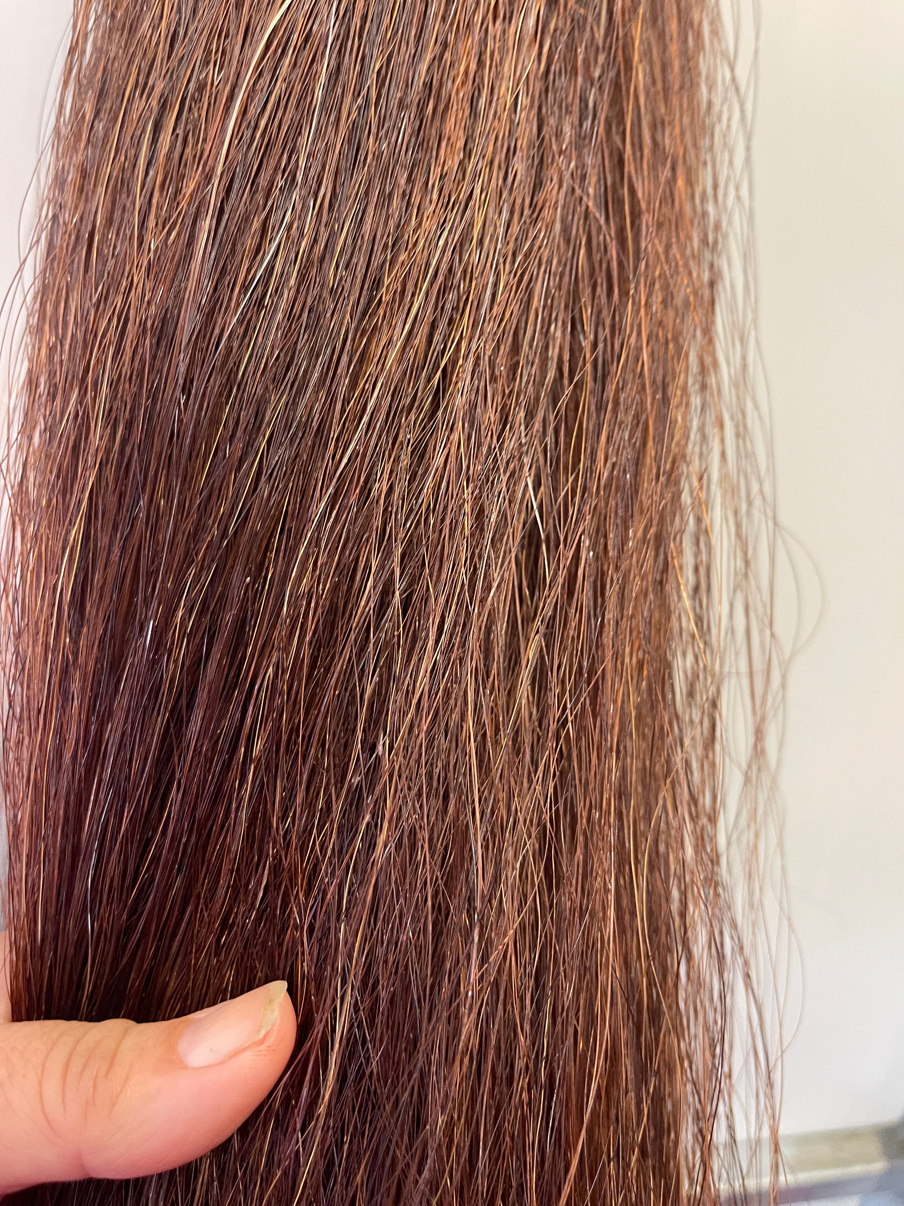 Darker red chestnut Double Thickness 62 cm cut end