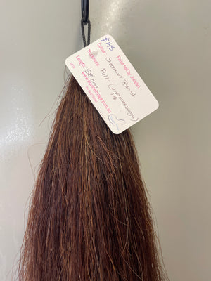 Chestnut Blend 58cm natural end Full plus ( 1.1/4times )