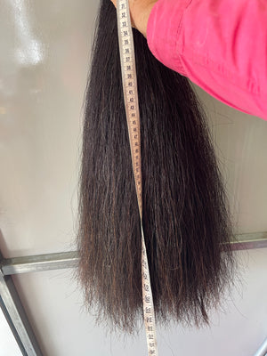 Qhorse length Natural Black ( Liver /black) 90 cm cut end  (big ) Triple thickness