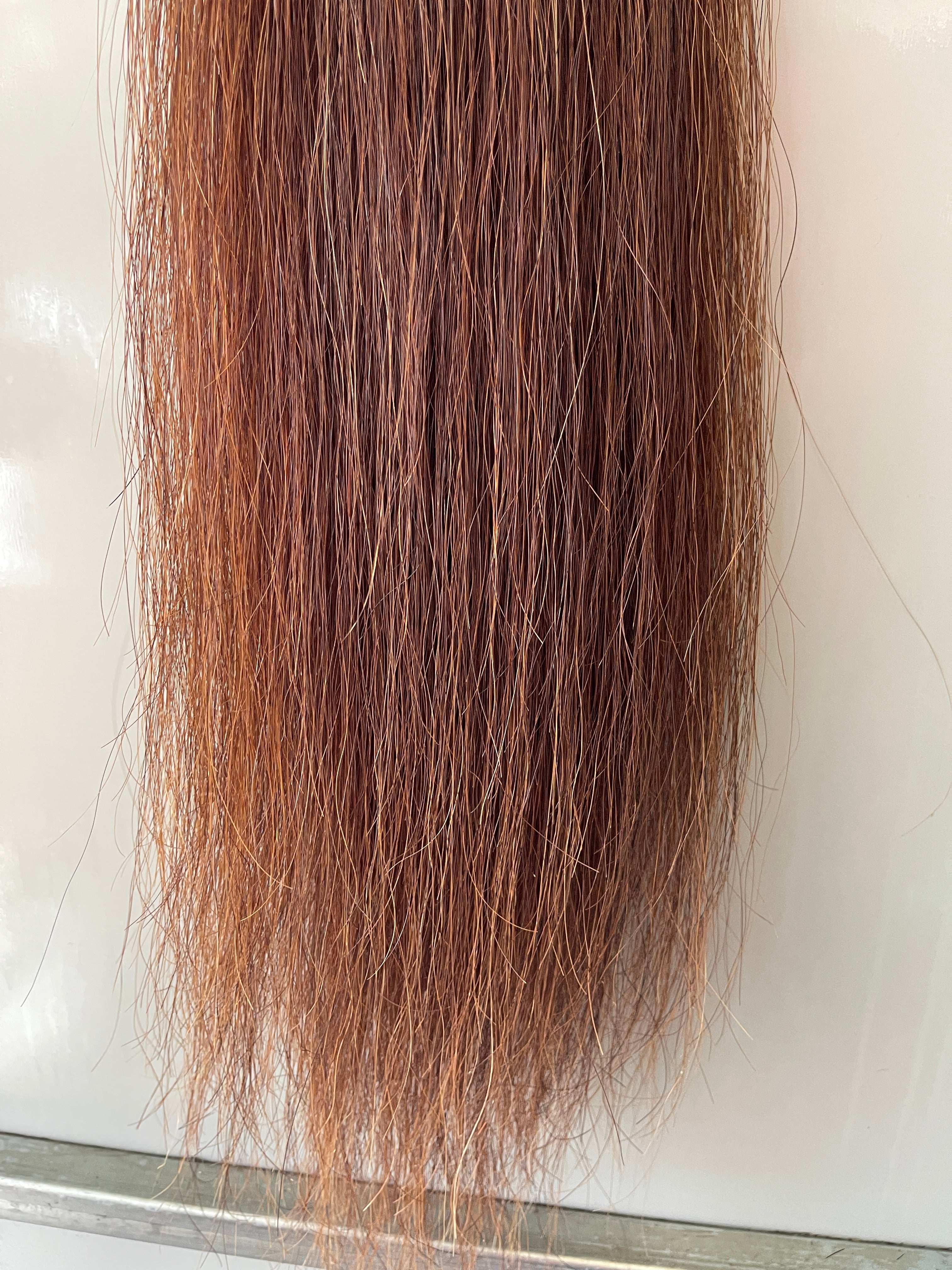 Chestnut Full Thickness  76 cm natural end