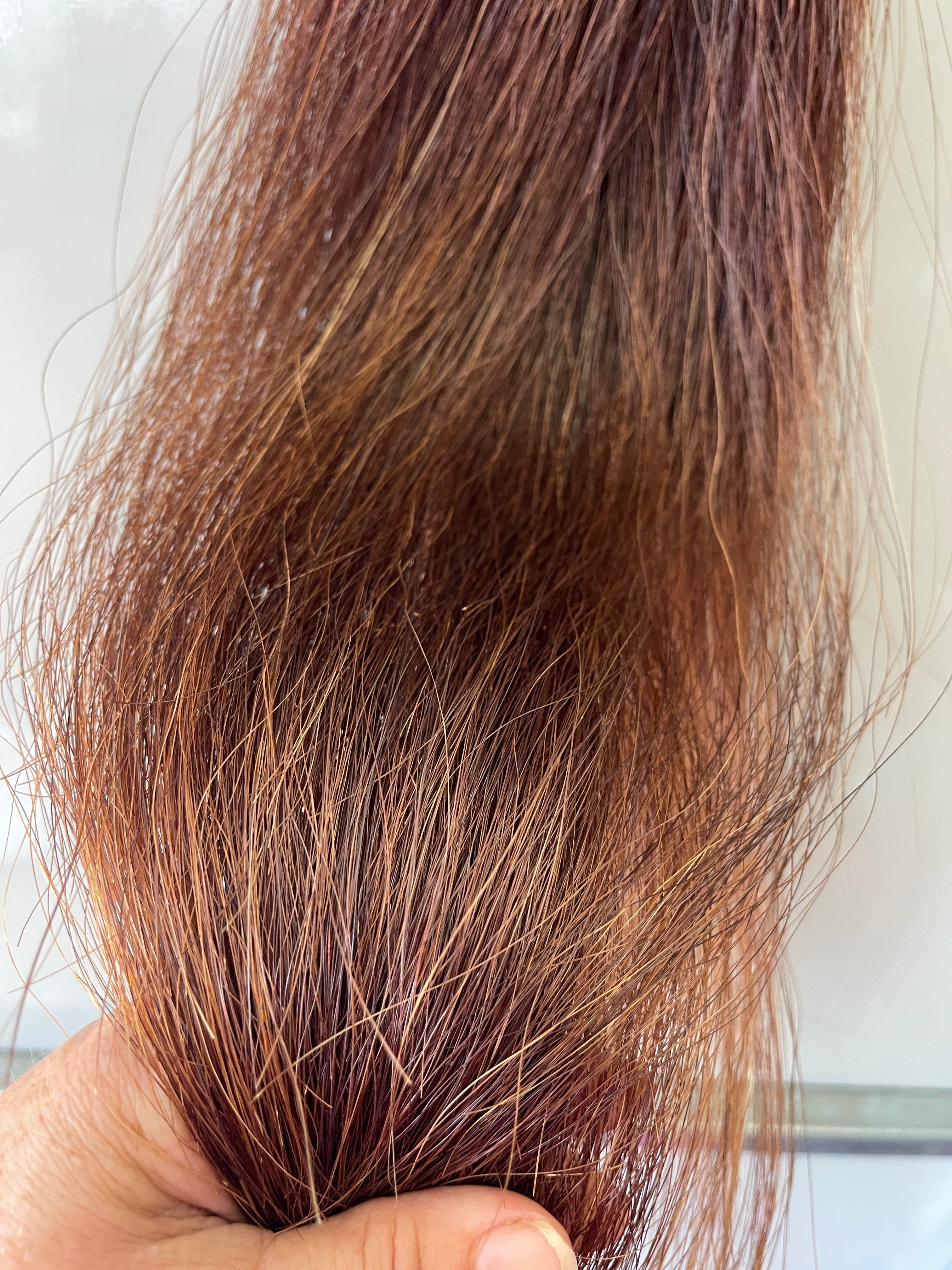 Chestnut Full Thickness  76 cm natural end