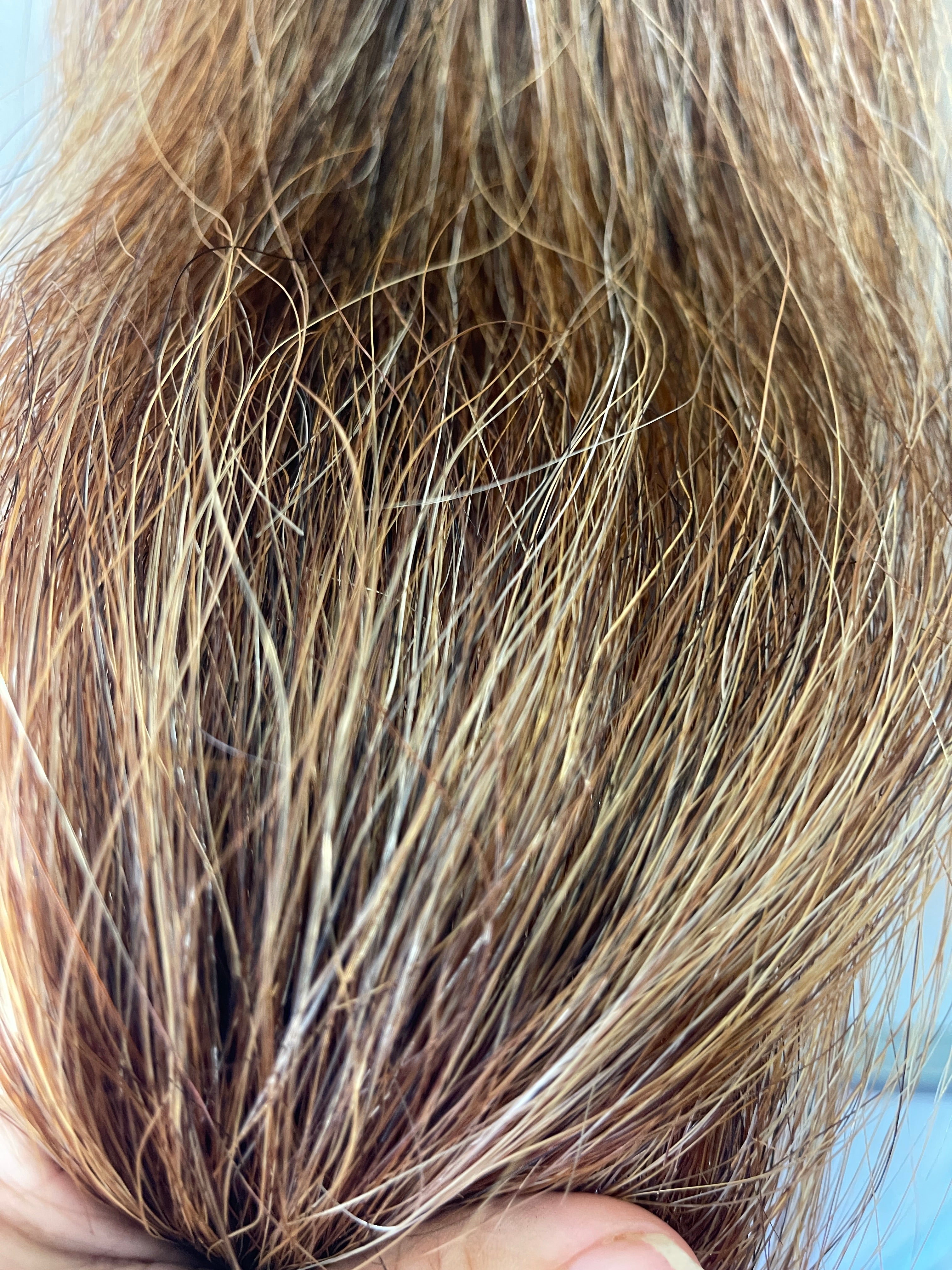 light  chestnut flaxen blend Double plus  thickness 75cm long