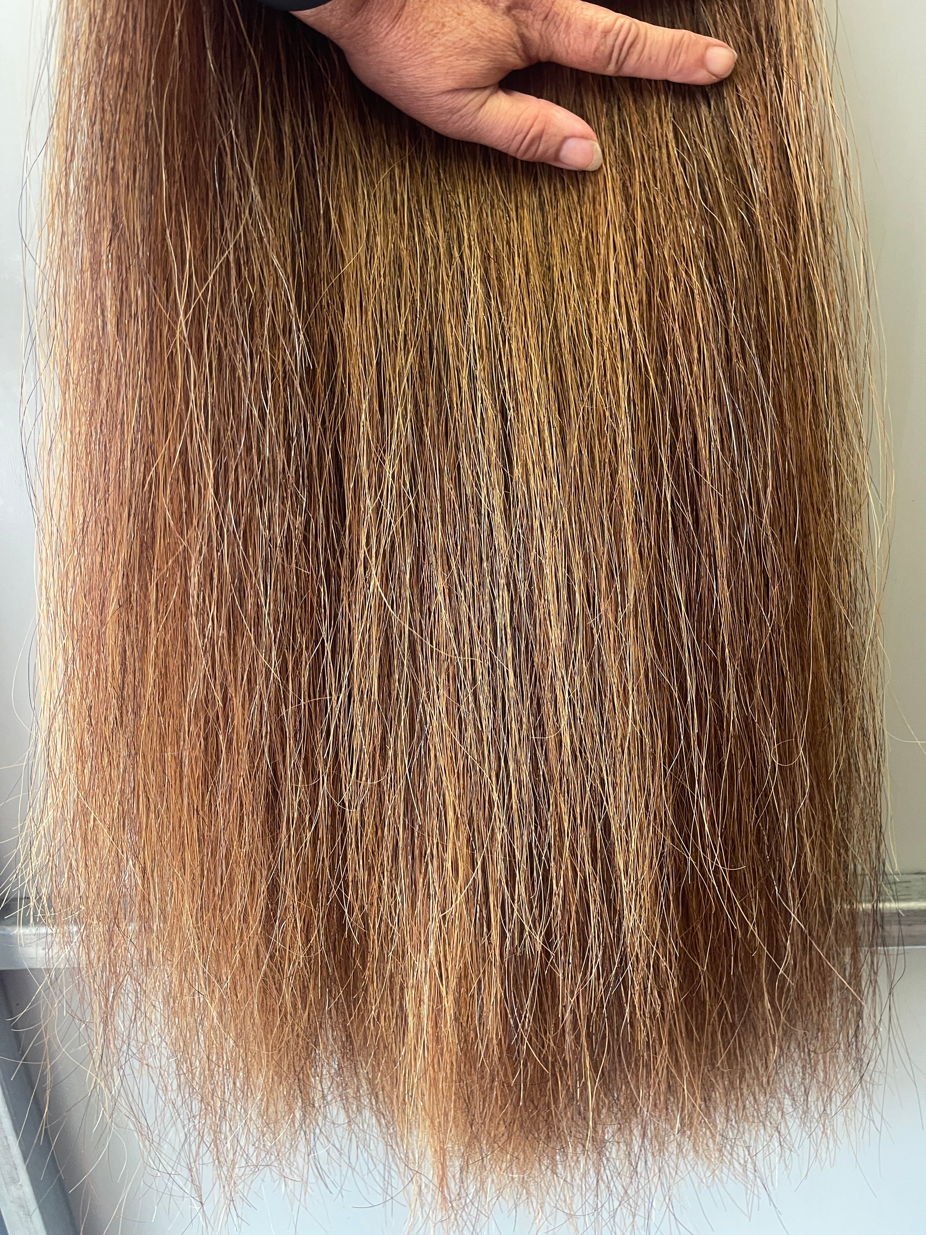 Qhorse Chestnut mix blend Triple 770g 95 cm long natural end Double loop Top
