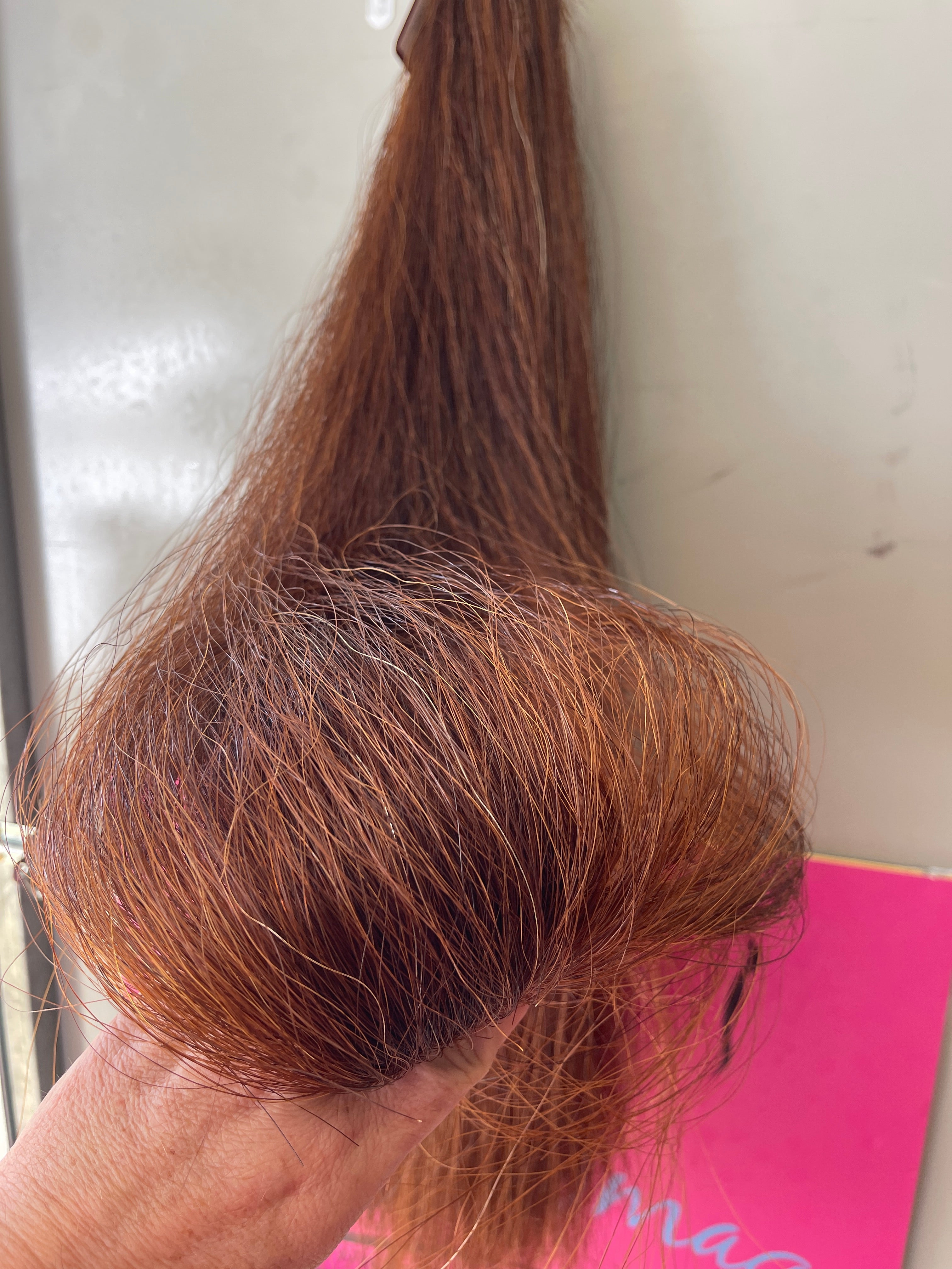 Red Chestnut Triple Thickness 72 cm cut end