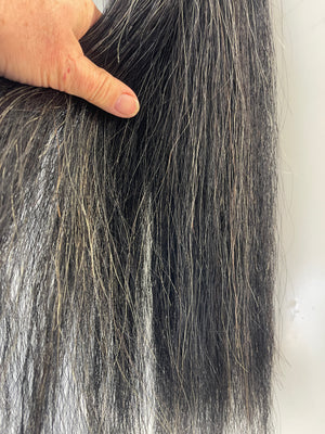 Dark Grey blend ( young horse ) full plus plus 60 cm long