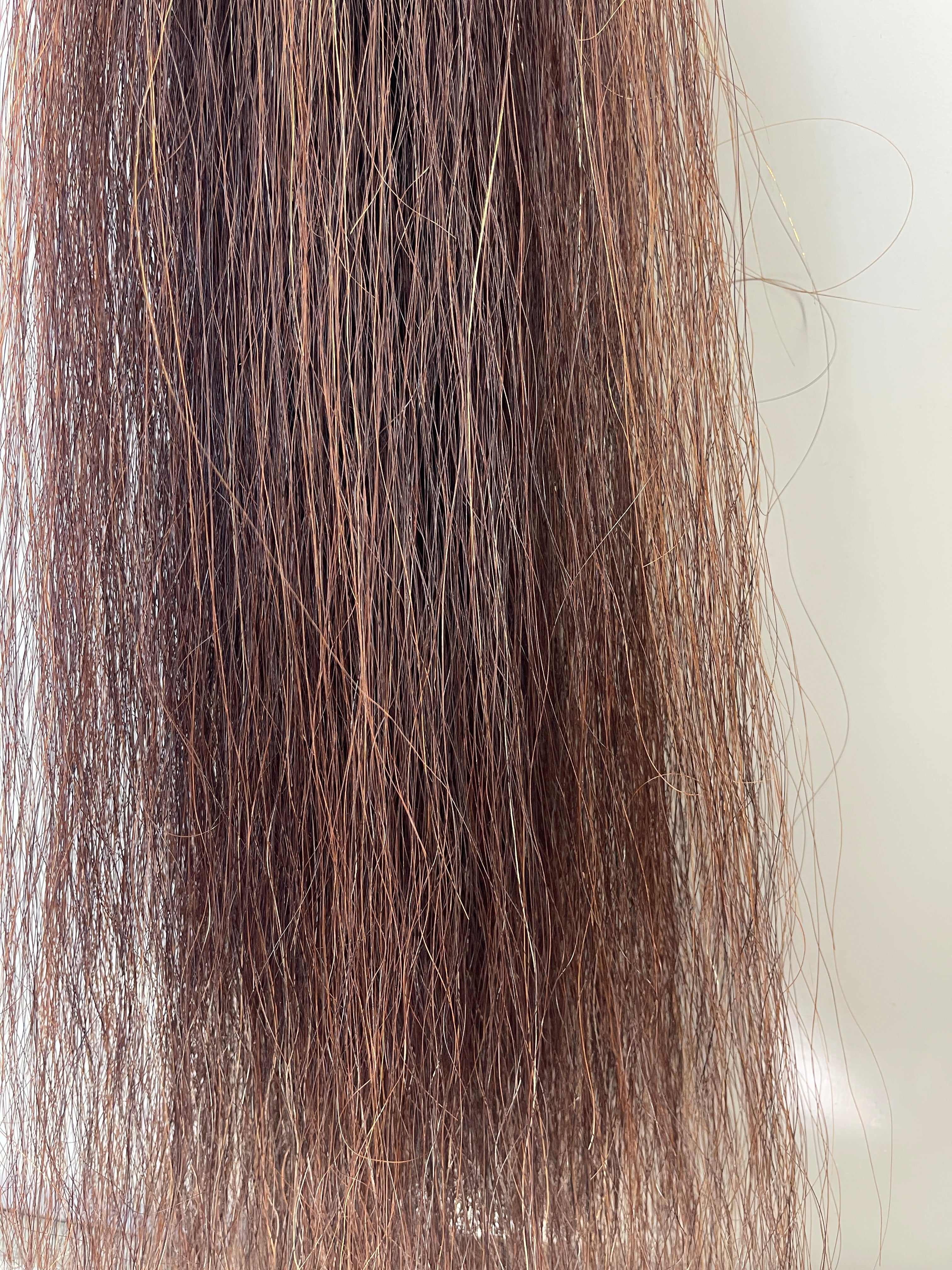 Liver chestnut Dark chestnut Filler - small single thickness 85 cm long cut end