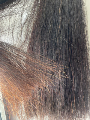 Liver very Dark chestnut 66 cm cut end Double plus