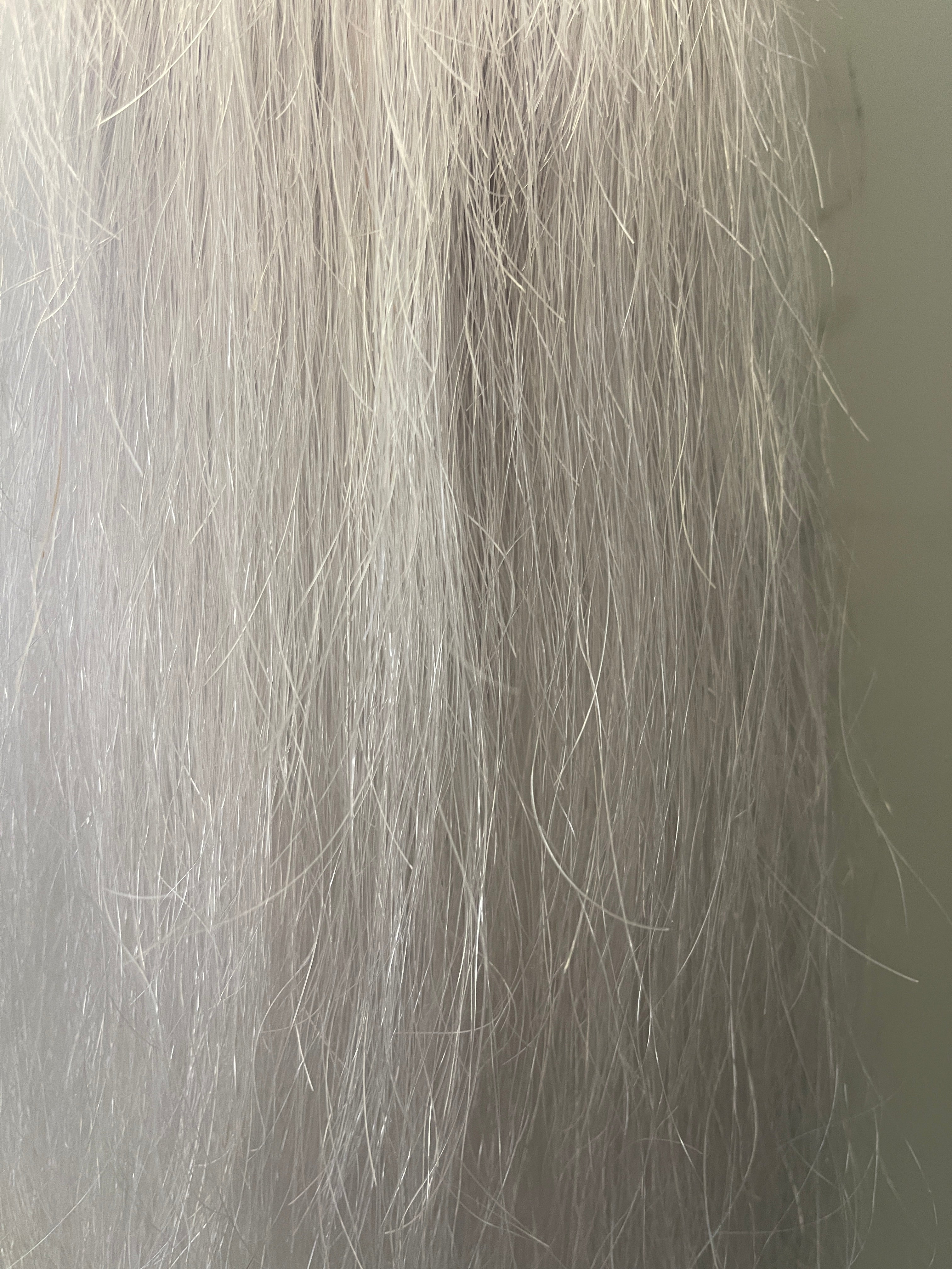 White silver white single thickness pony - young stock  length 60 cm natural end