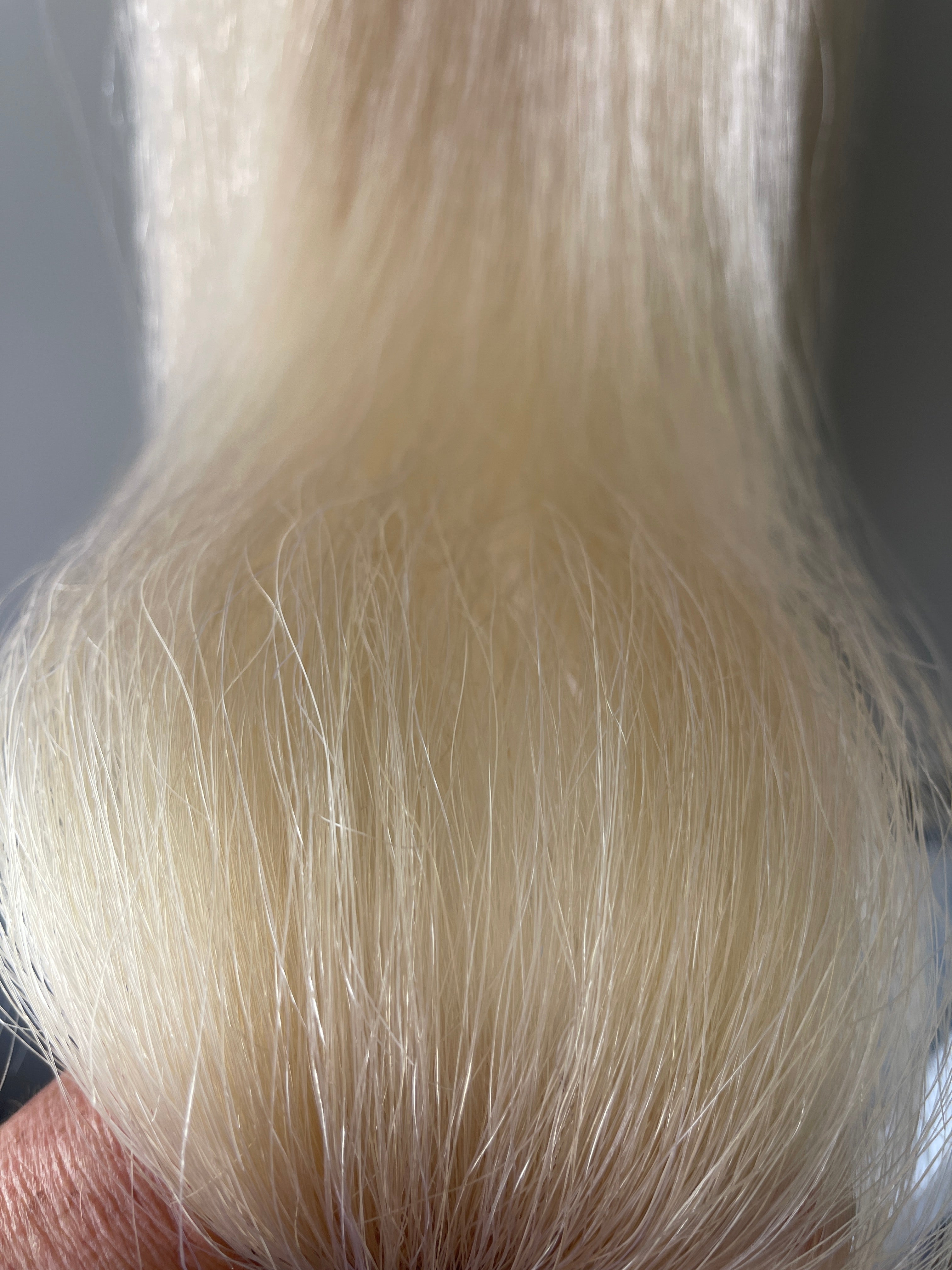 Qhorse Length 100 cm Pally white Big Double 600g of hair