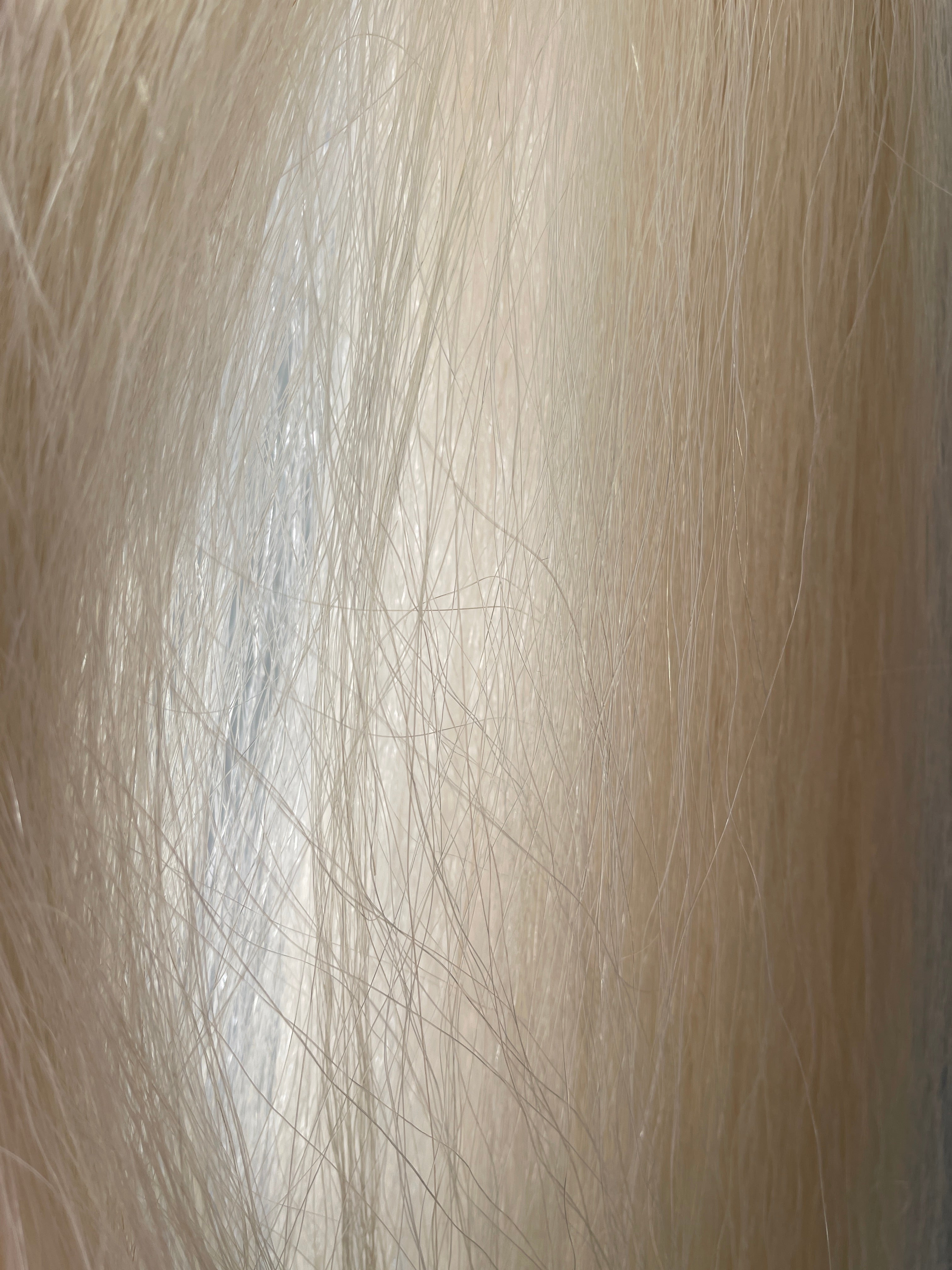 Qhorse Length 100 cm Pally white Big Double 600g of hair
