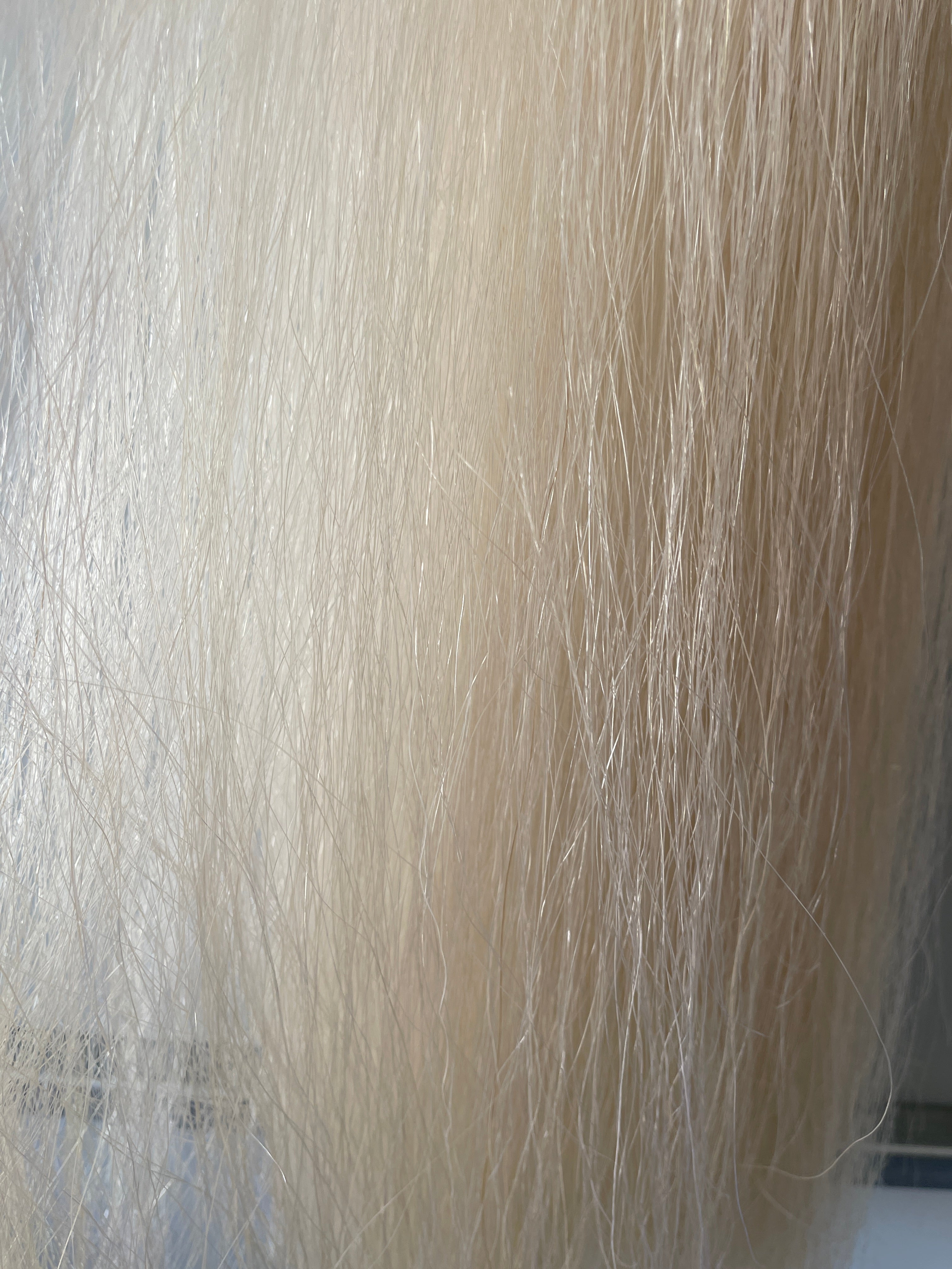 Qhorse Length 100 cm Pally white Big Double 600g of hair