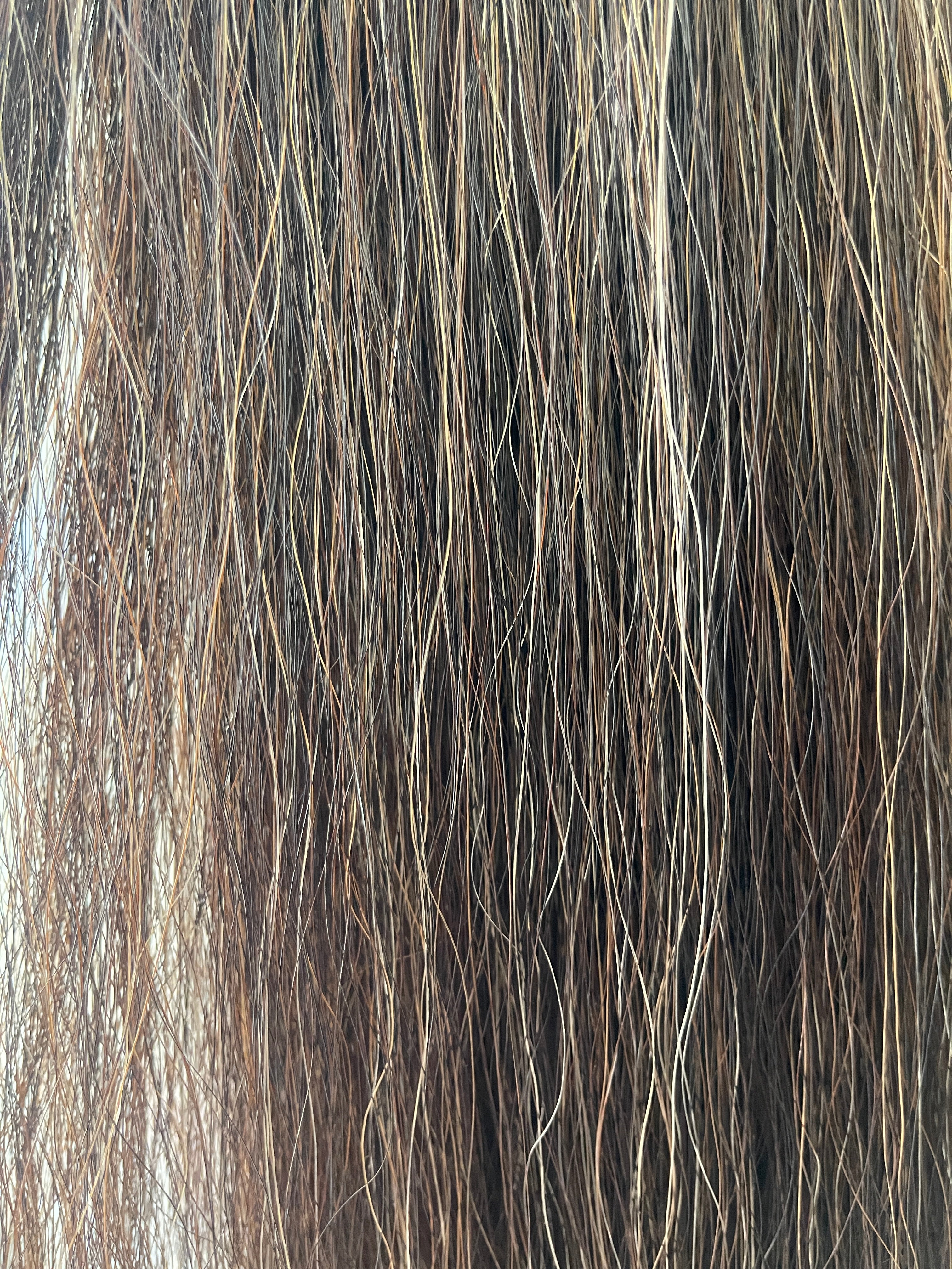 Qhorse length Darker chestnut mix blend 100 cm cut end Double thickness