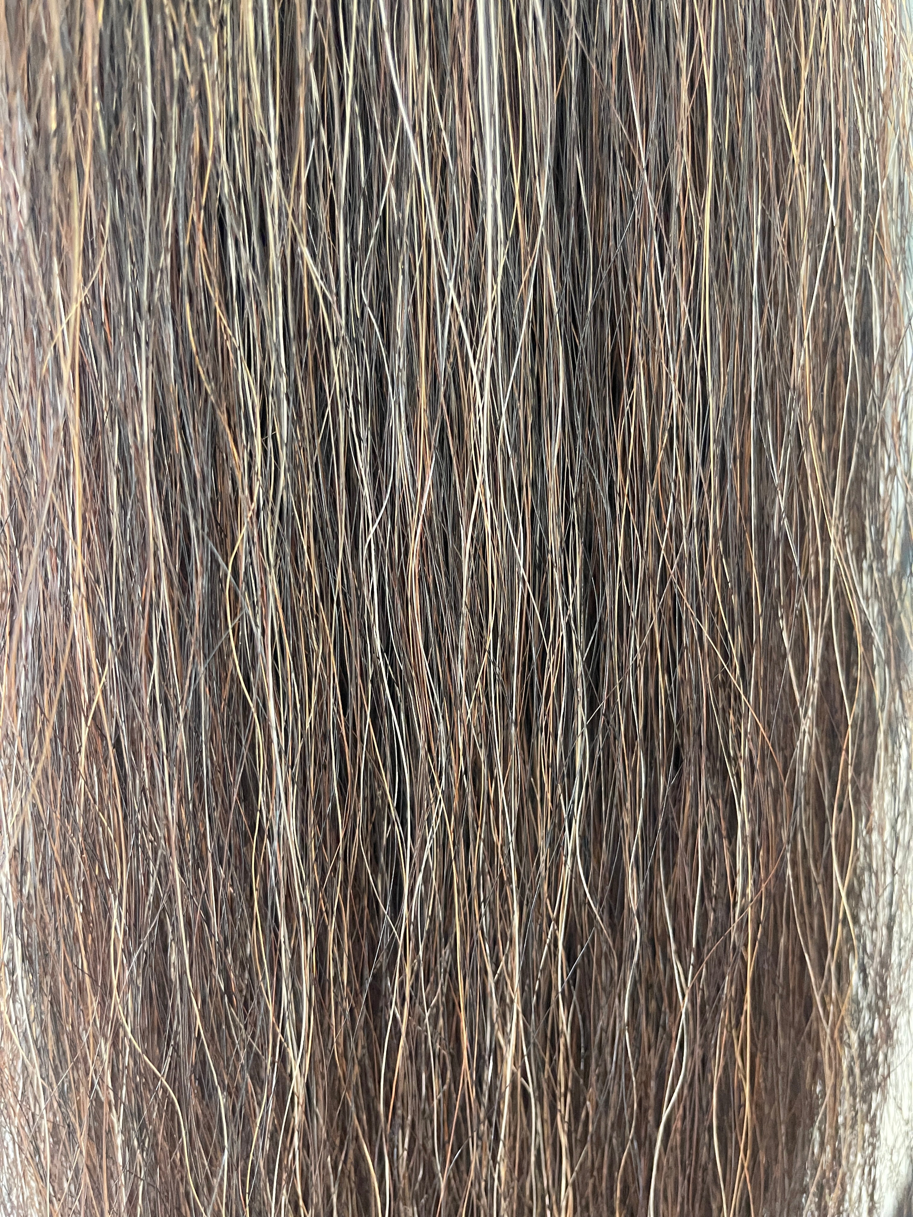 Qhorse length Darker chestnut mix blend 100 cm cut end Double thickness