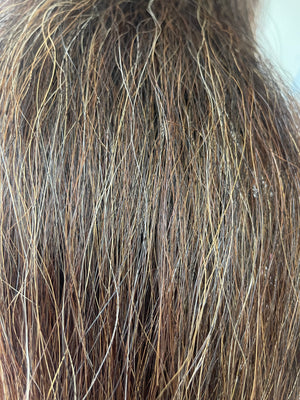 Qhorse length Darker chestnut mix blend 100 cm cut end Double thickness