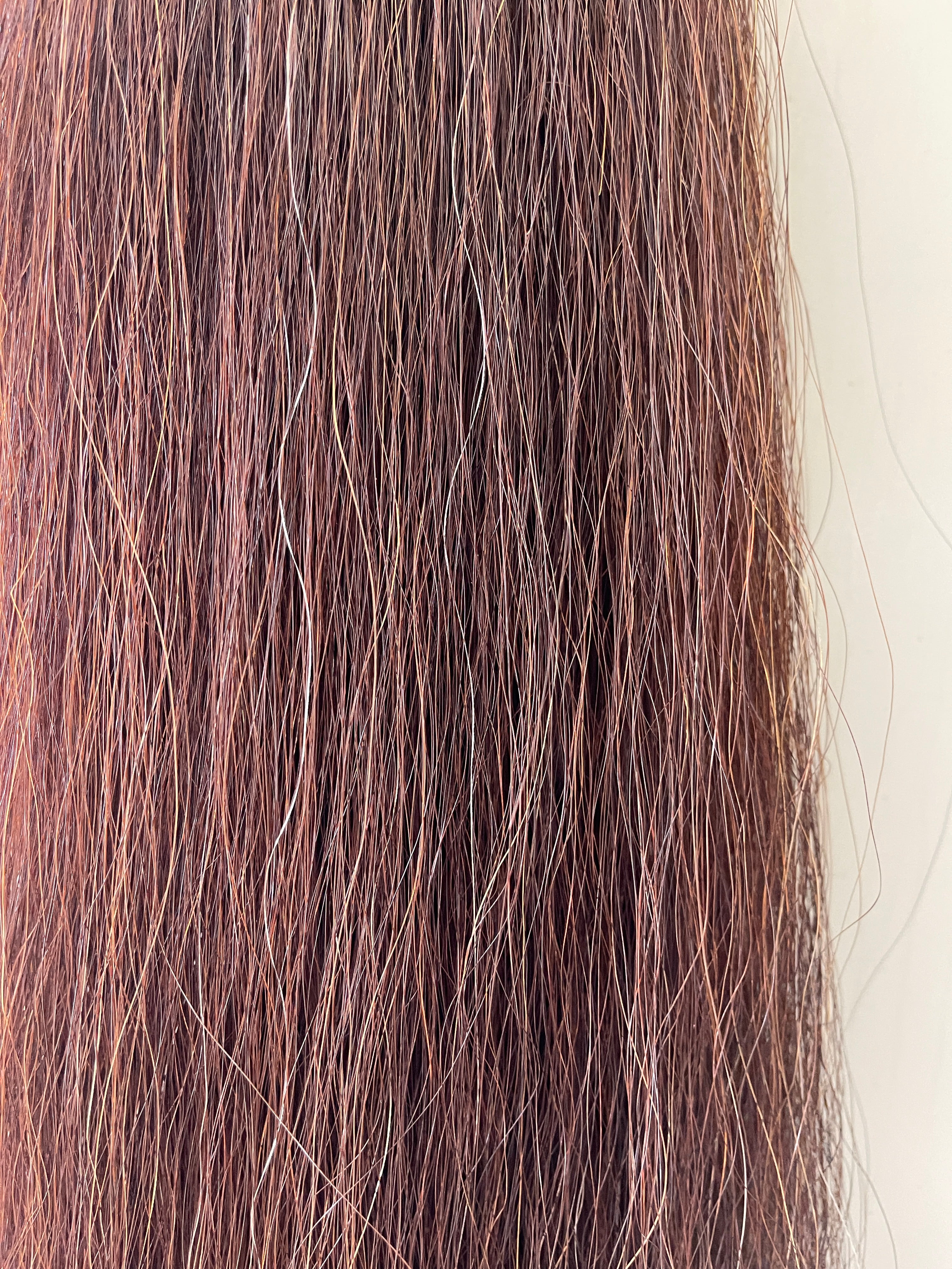 Qhorse length 100 cm cut end Double thickness Dark Red chestnut