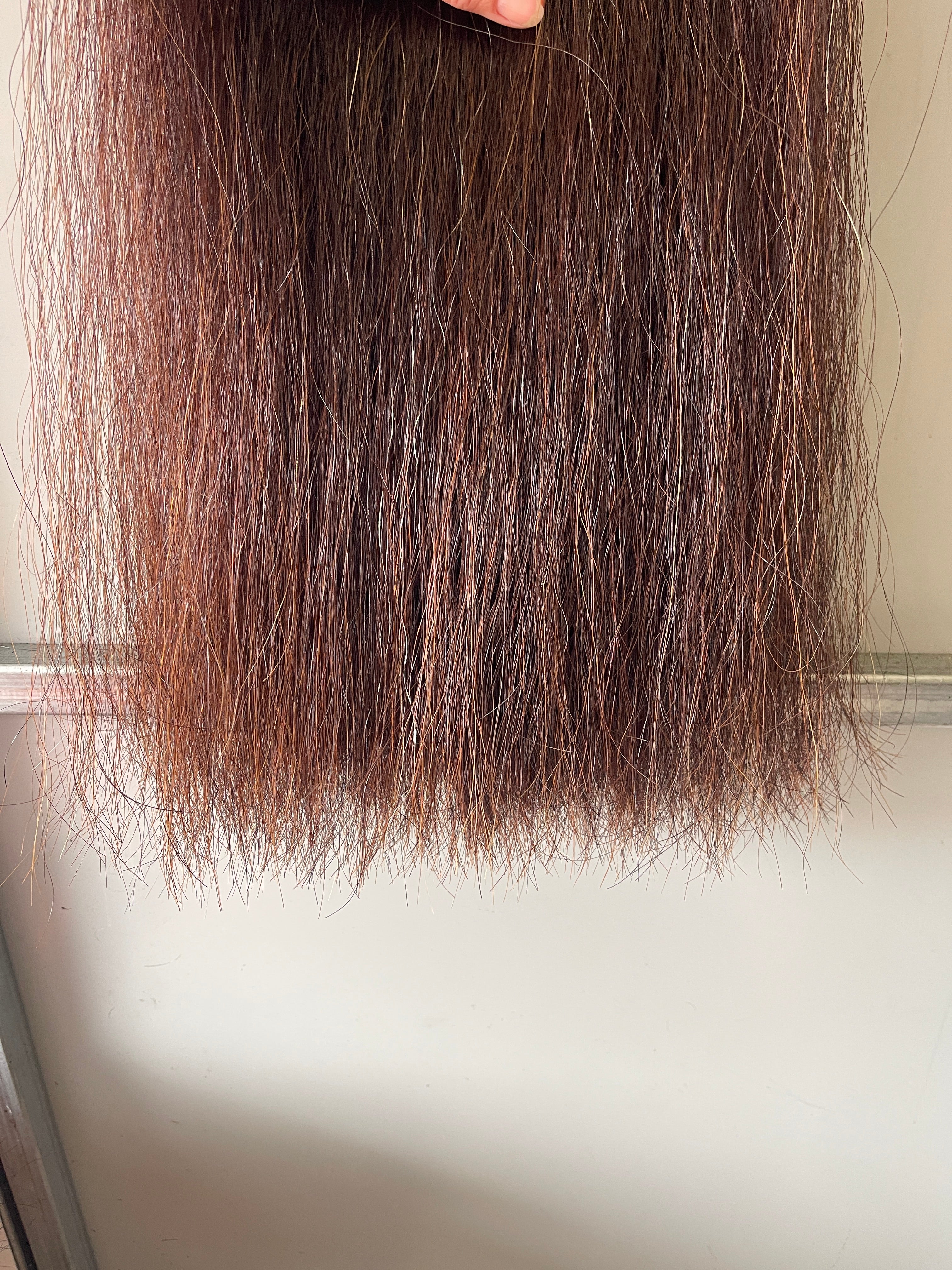 Qhorse length 100 cm cut end Double thickness Dark Red chestnut