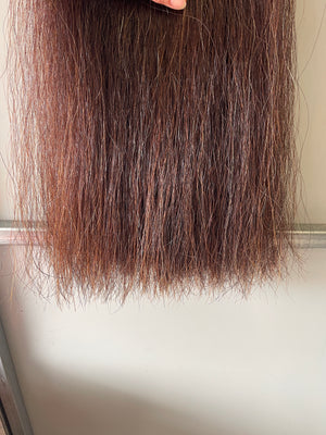 Qhorse length 100 cm cut end Double thickness Dark Red chestnut