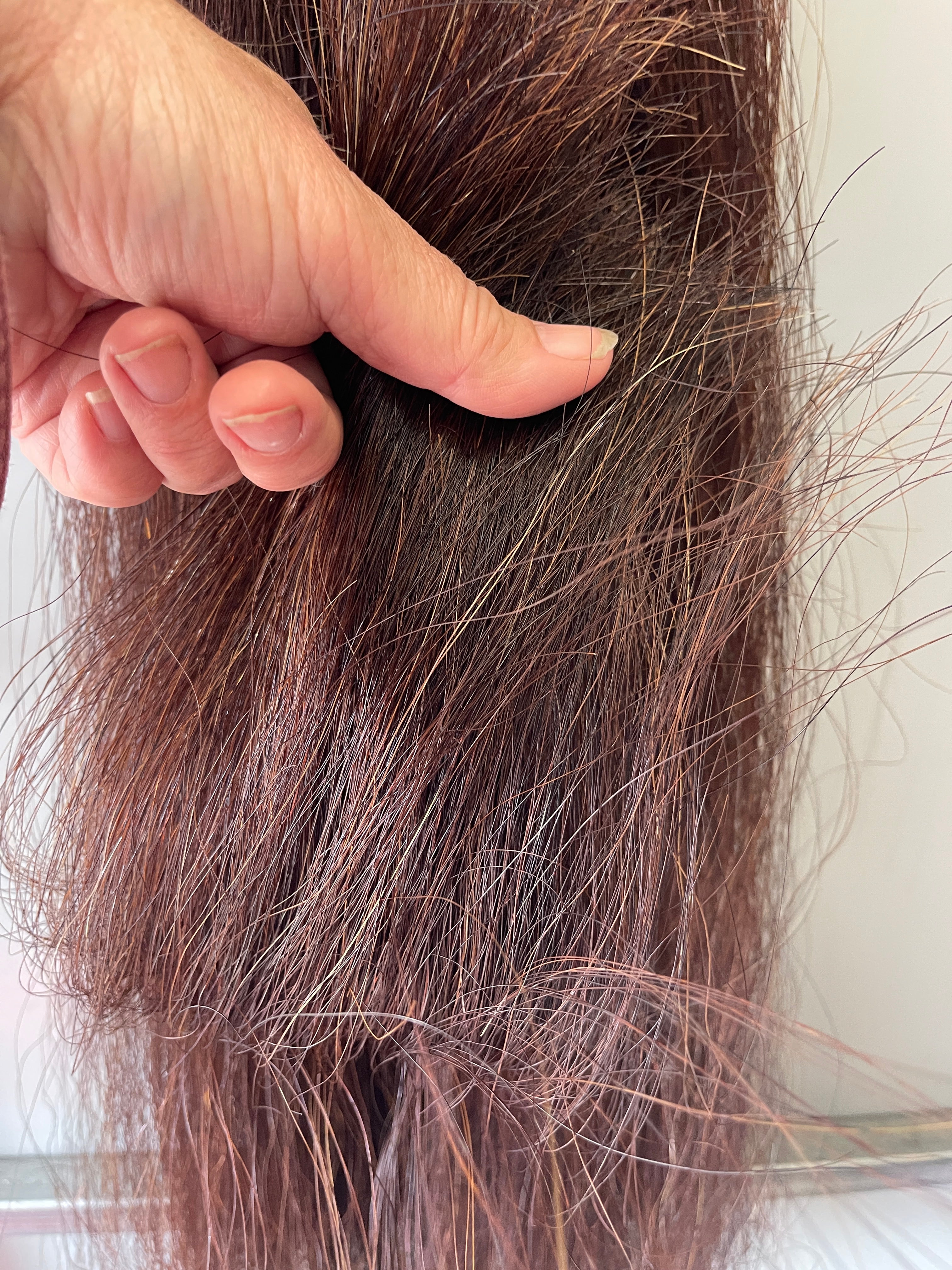 Qhorse length 100 cm cut end Double thickness Dark Red chestnut