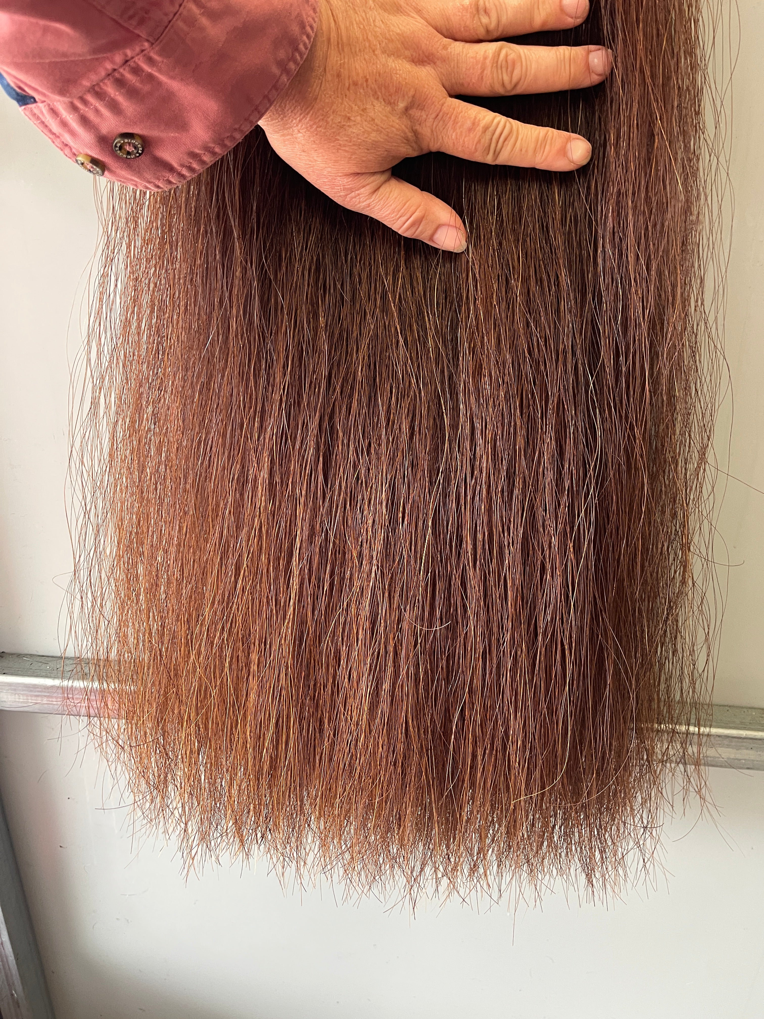Qhorse length 100 cm cut end Double thickness Red Chestnut.