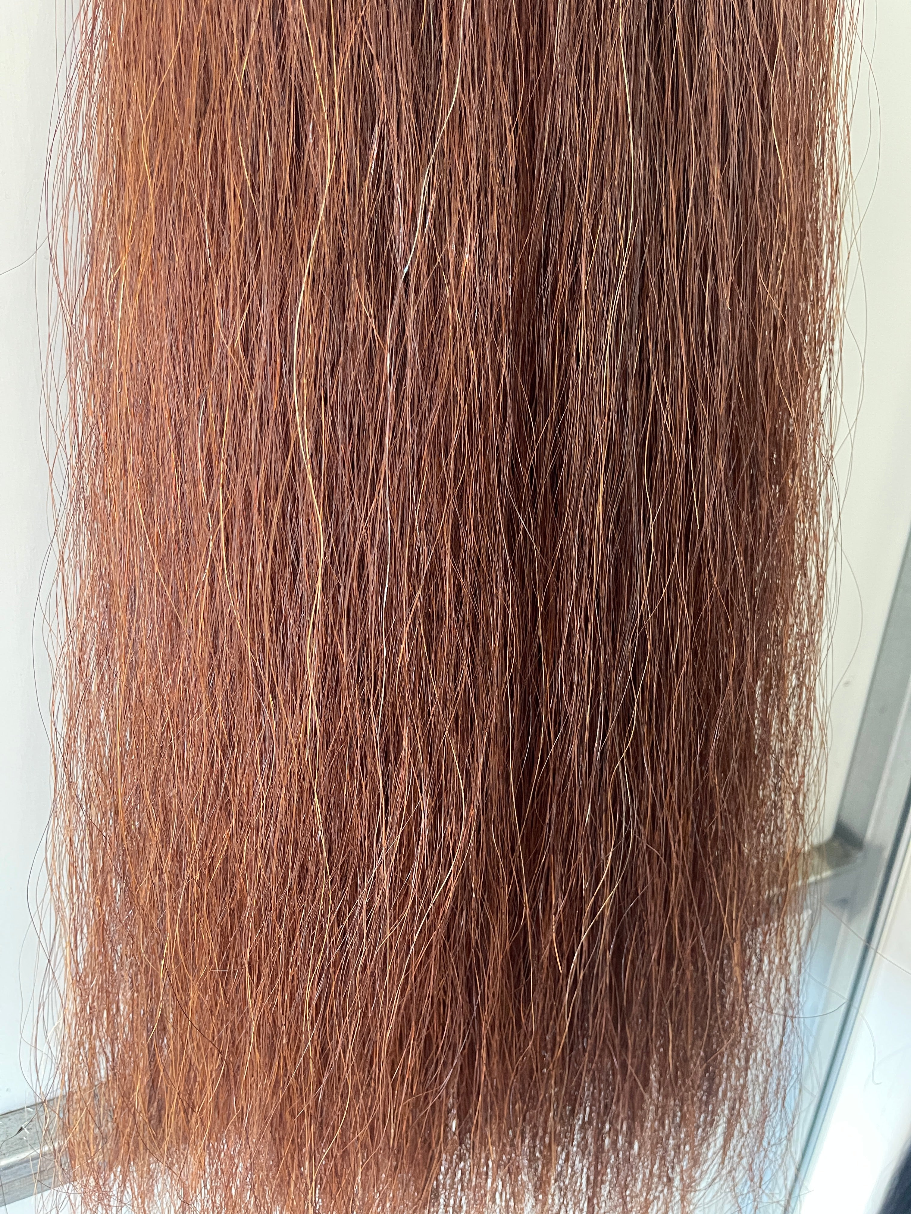 Qhorse length 100 cm cut end Double thickness Red Chestnut.