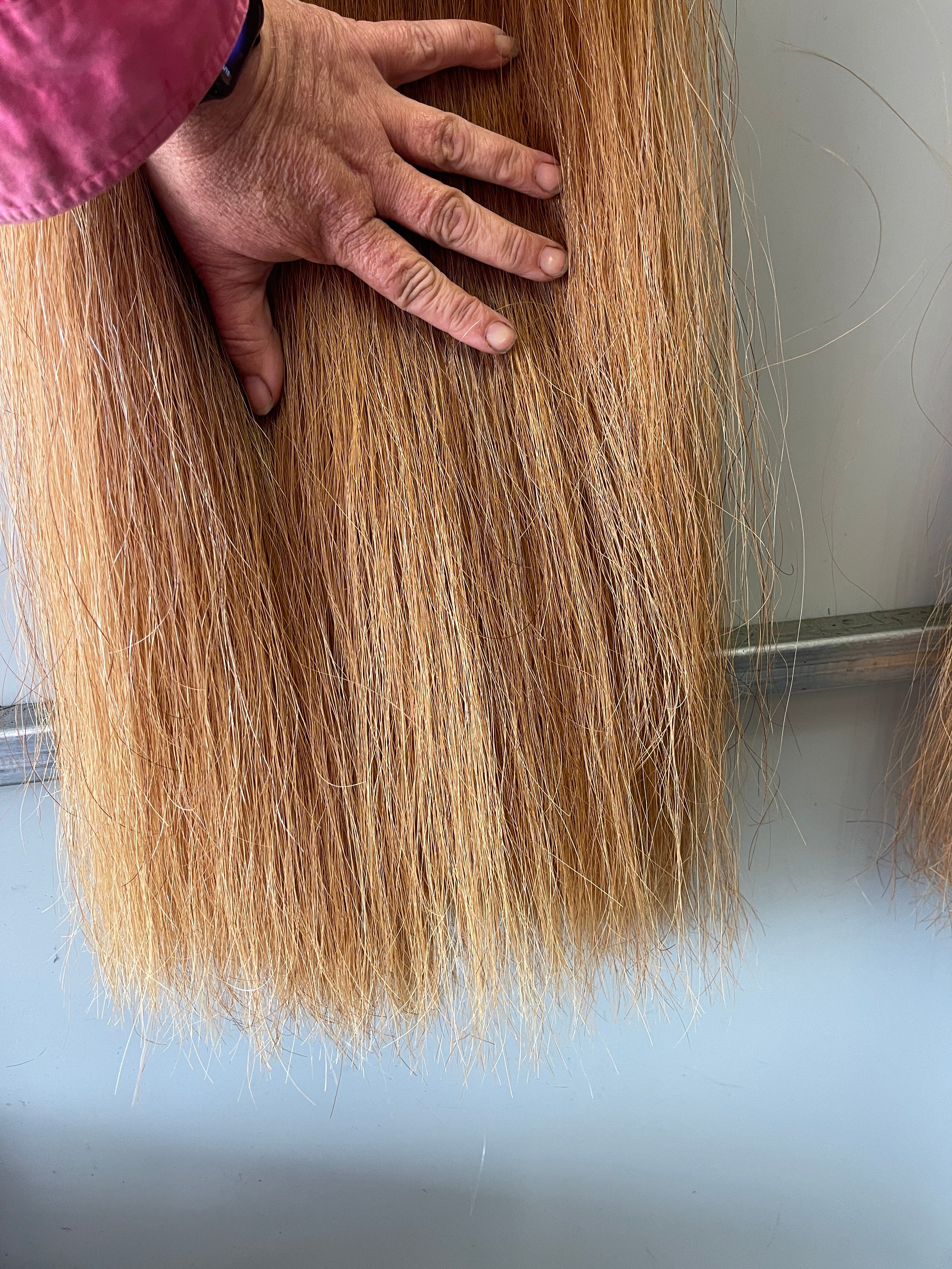 Qhorse length Very light chestnut 100 cm cut end Double plus thickness